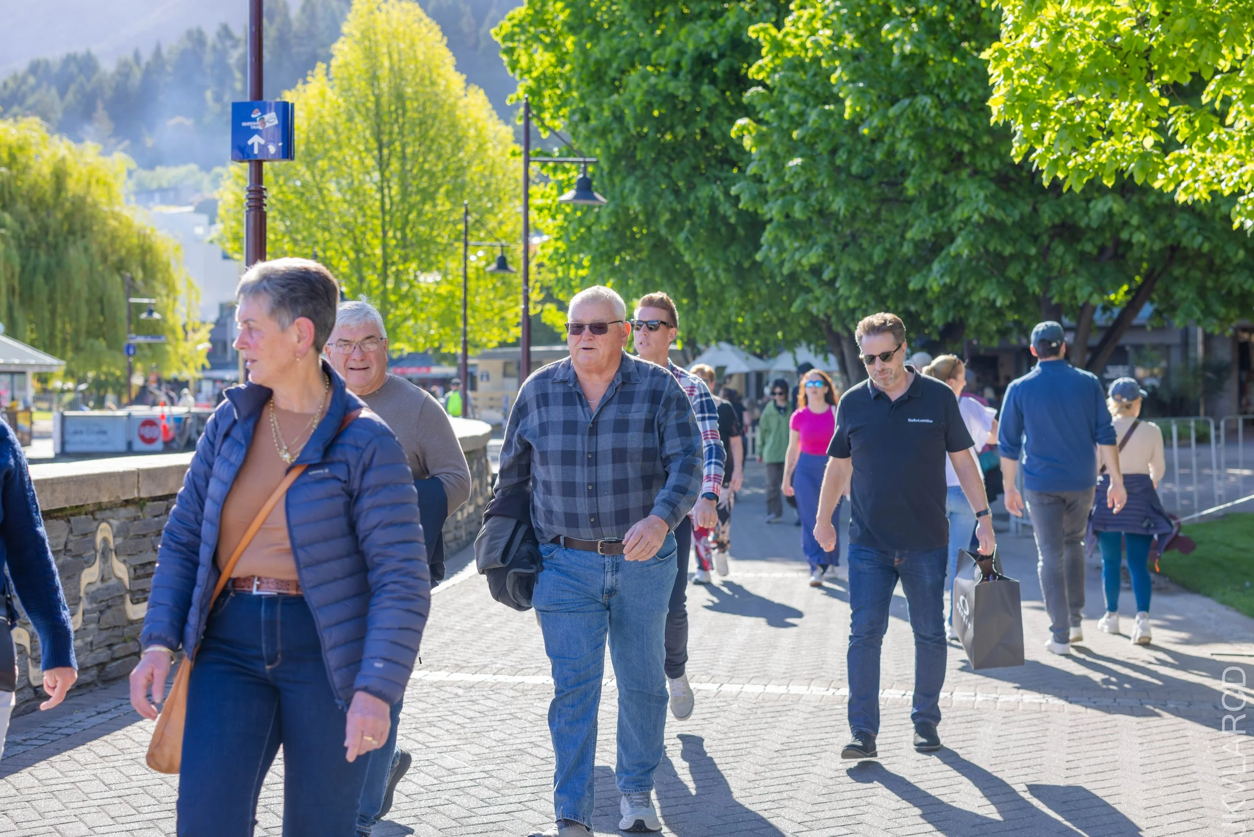 EOS R5_2024_11_12_0147.jpg