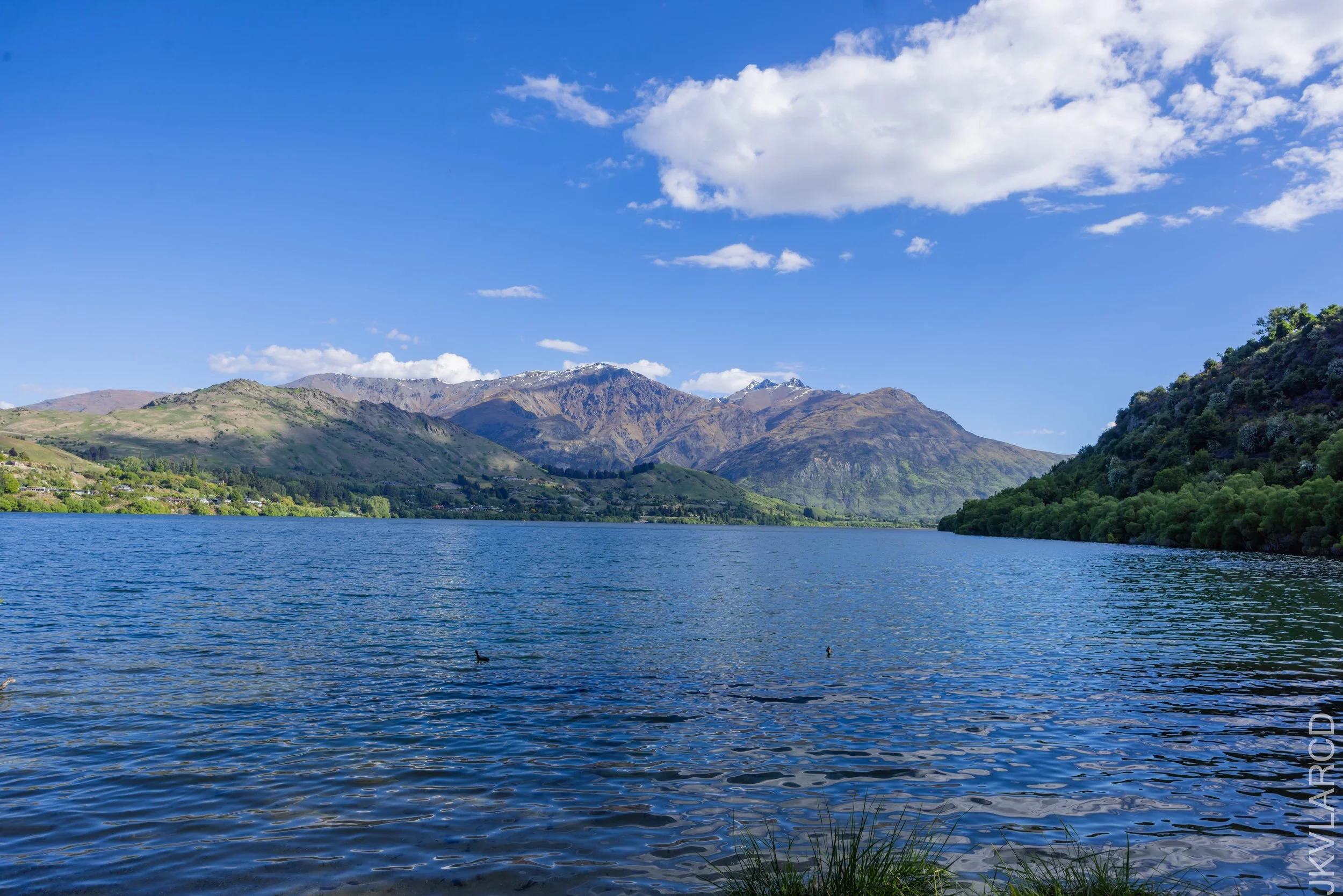 EOS R5_2024_11_13_0064.jpg