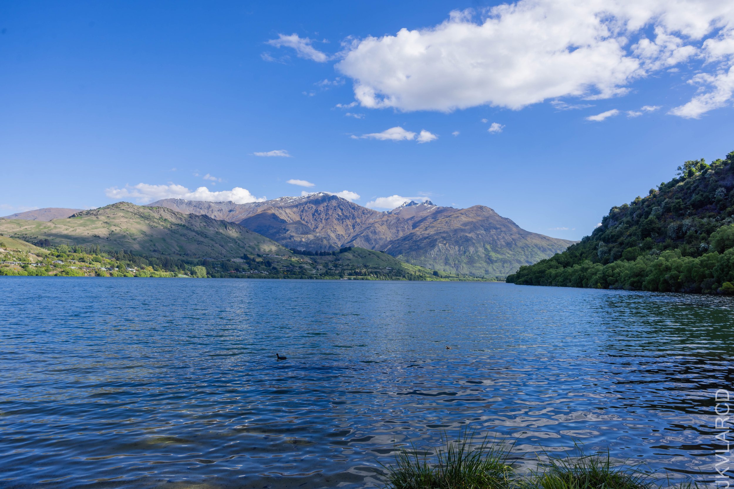 EOS R5_2024_11_13_0063.jpg