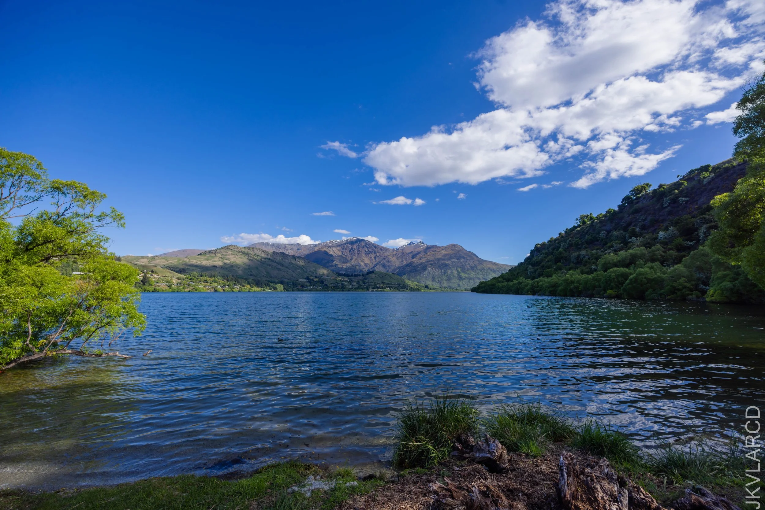 EOS R5_2024_11_13_0065.jpg