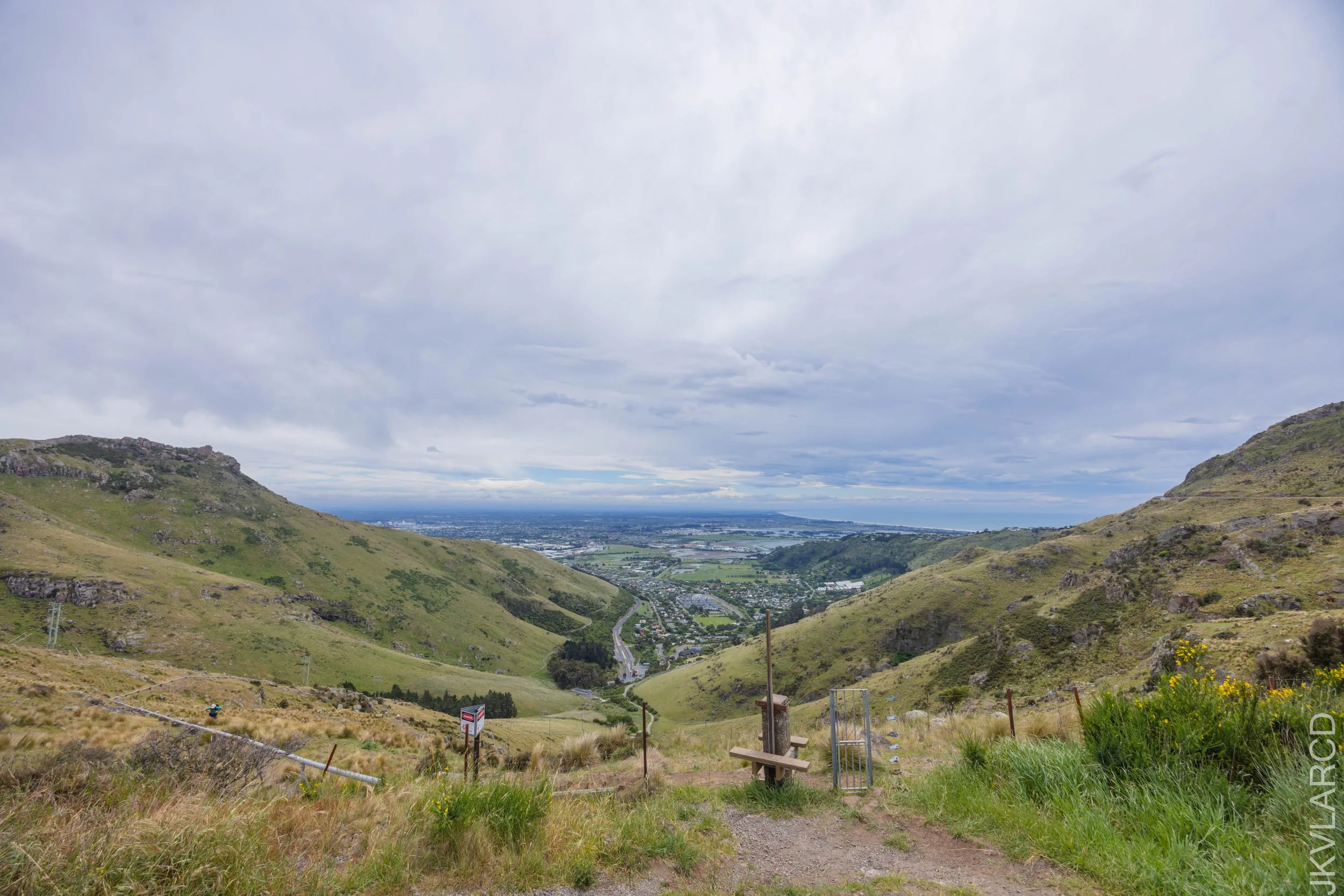 EOS R5_2024_11_15_0022.jpg