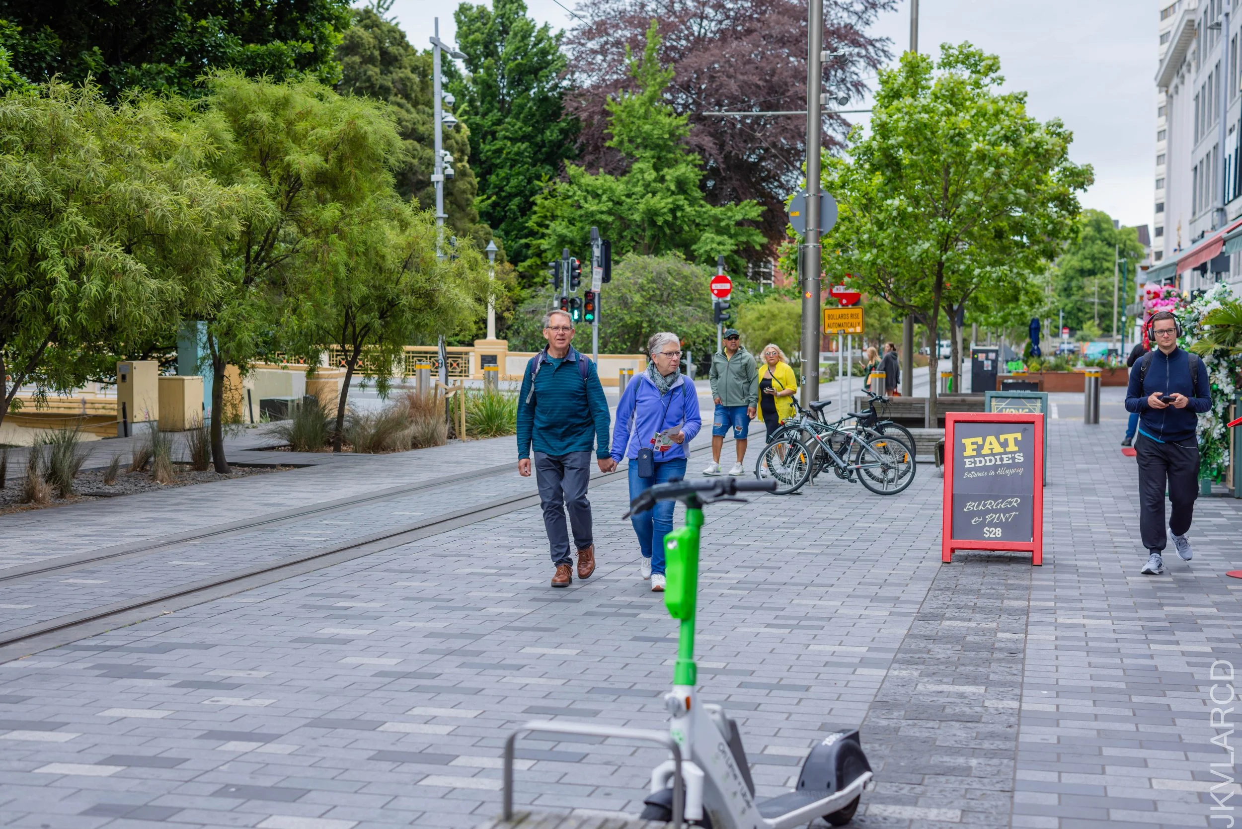 EOS R5_2024_11_15_0130.jpg