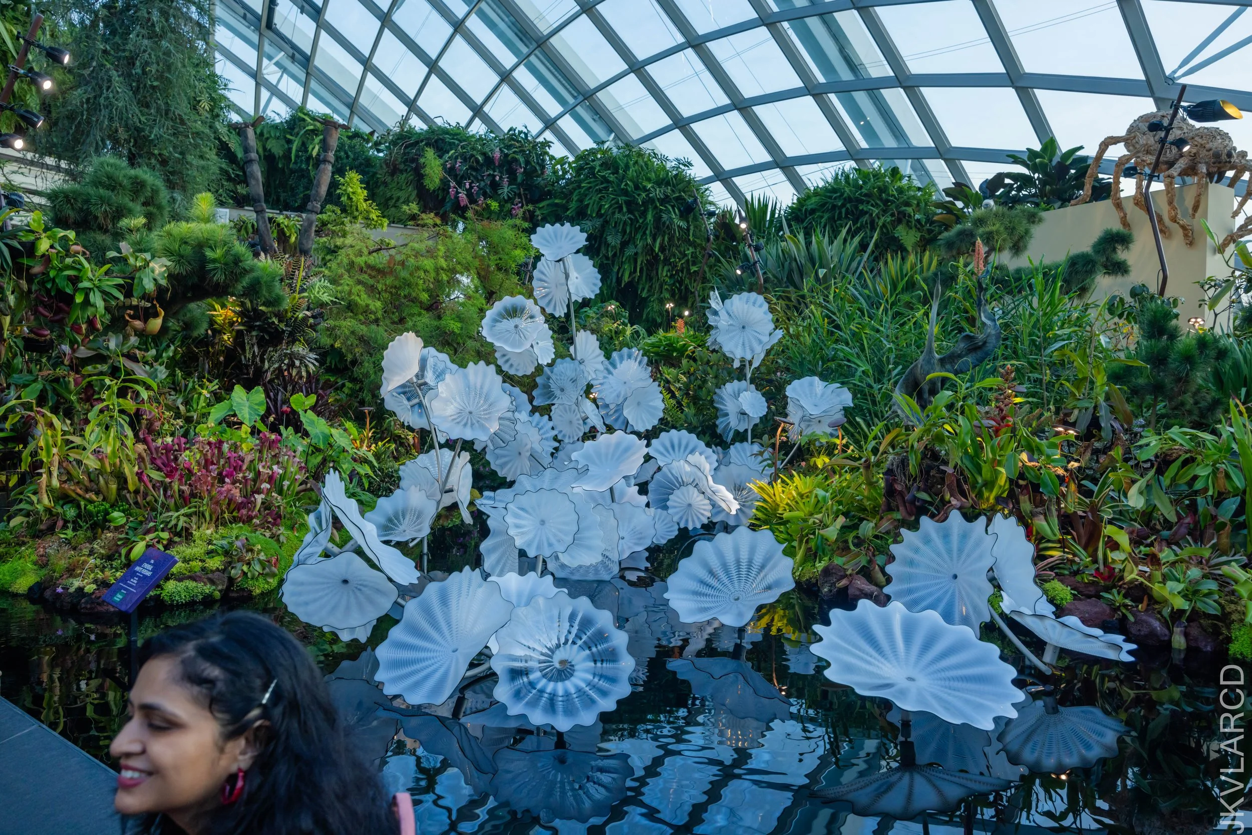 EOS R5_2024_12_07_0017.jpg