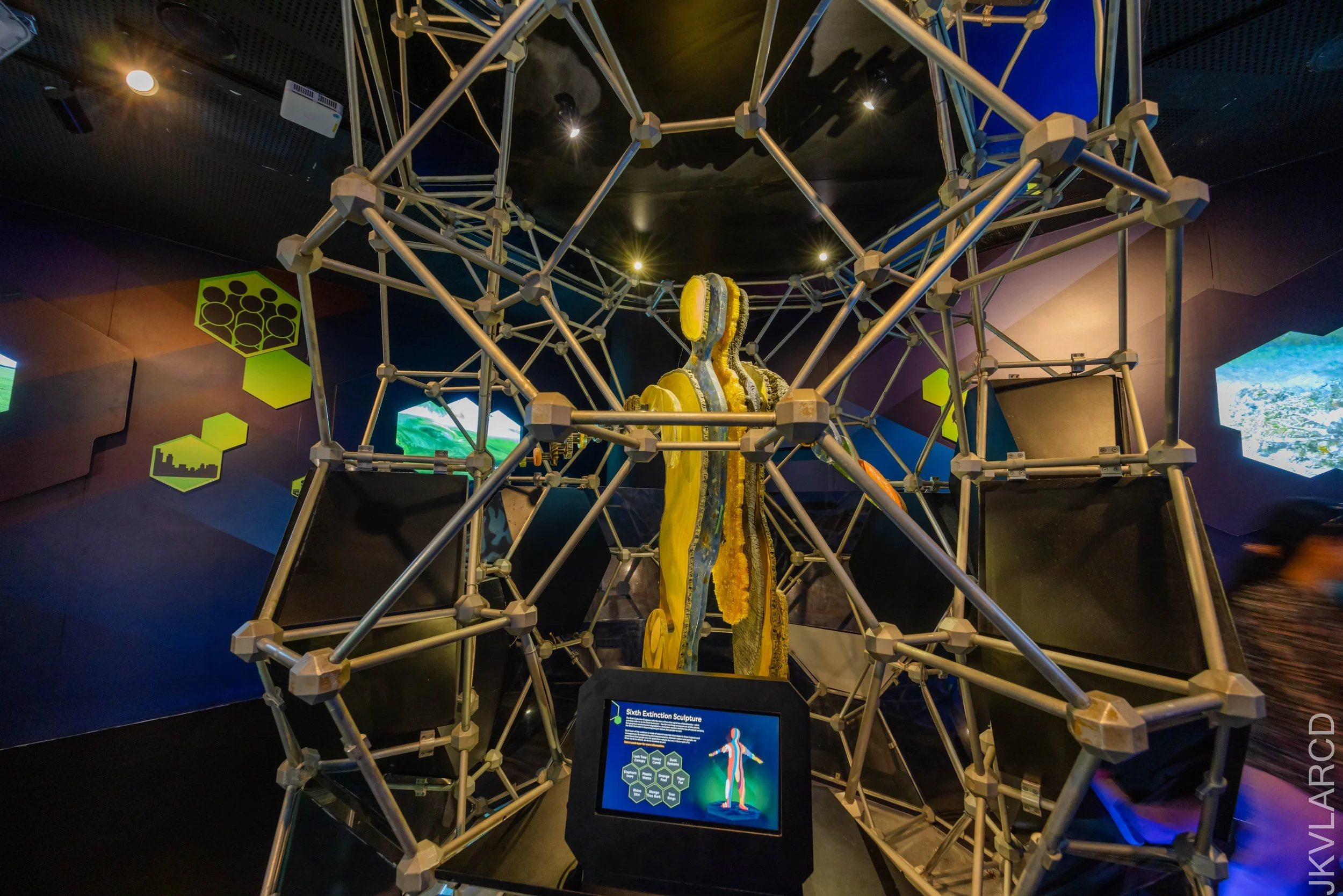 EOS R5_2024_12_07_0030.jpg