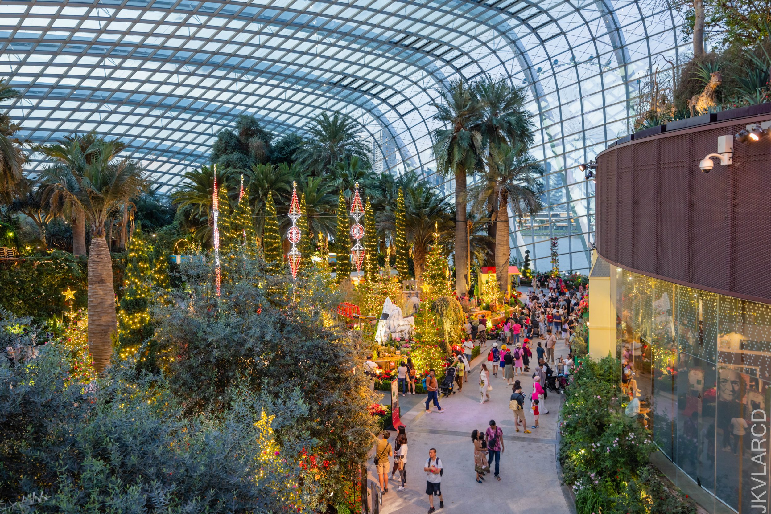 EOS R5_2024_12_07_0054.jpg