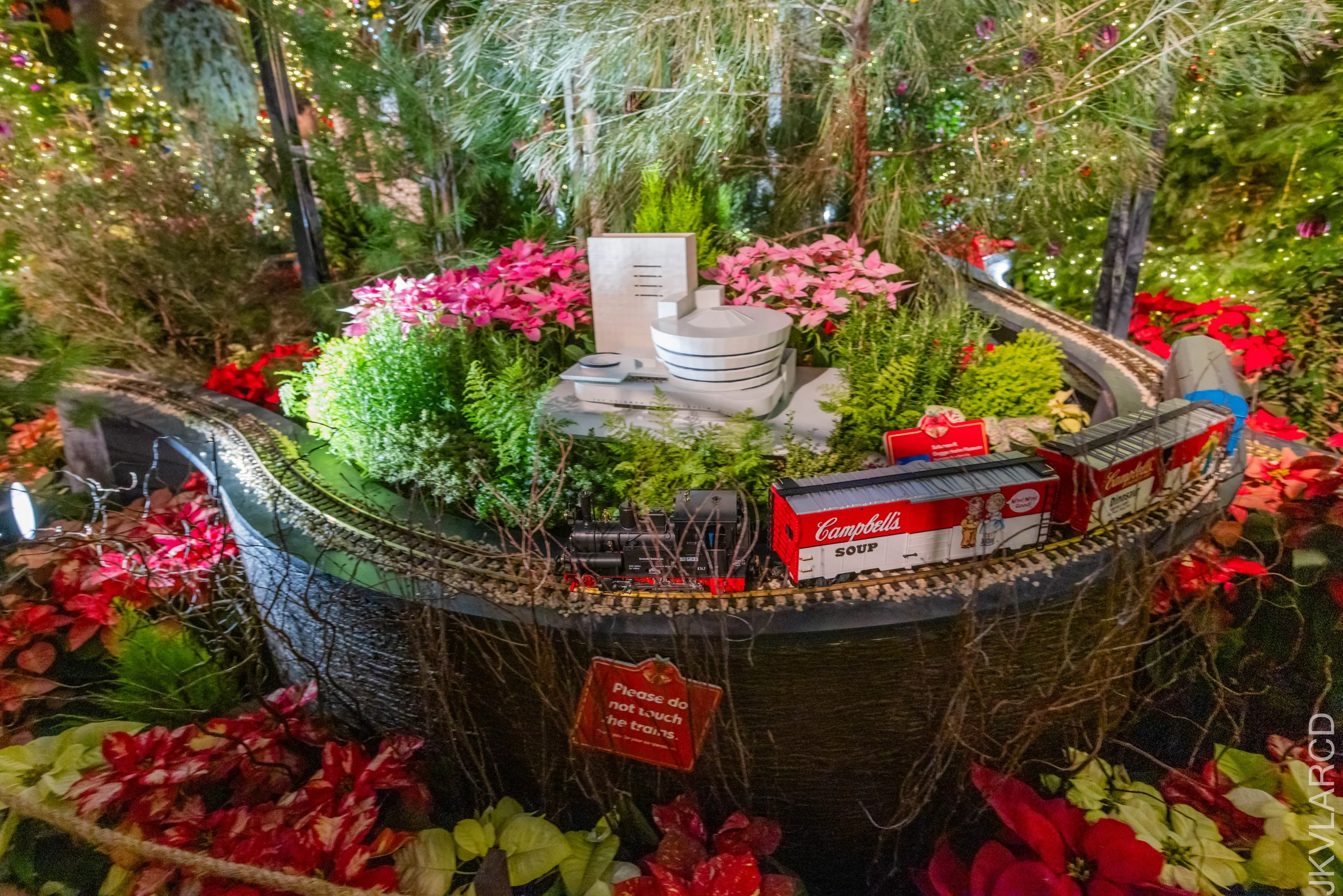 EOS R5_2024_12_07_0109.jpg