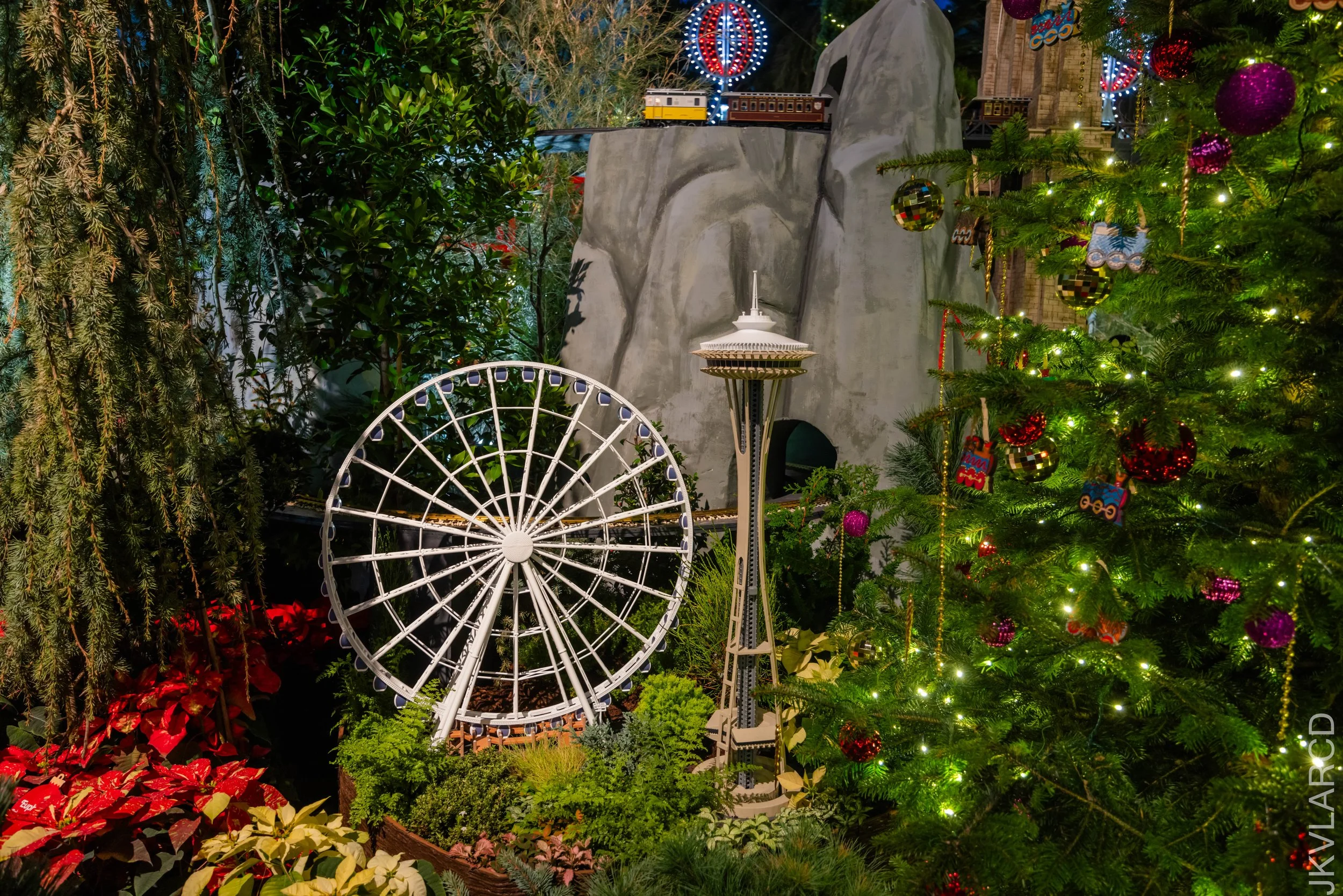 EOS R5_2024_12_07_0112.jpg