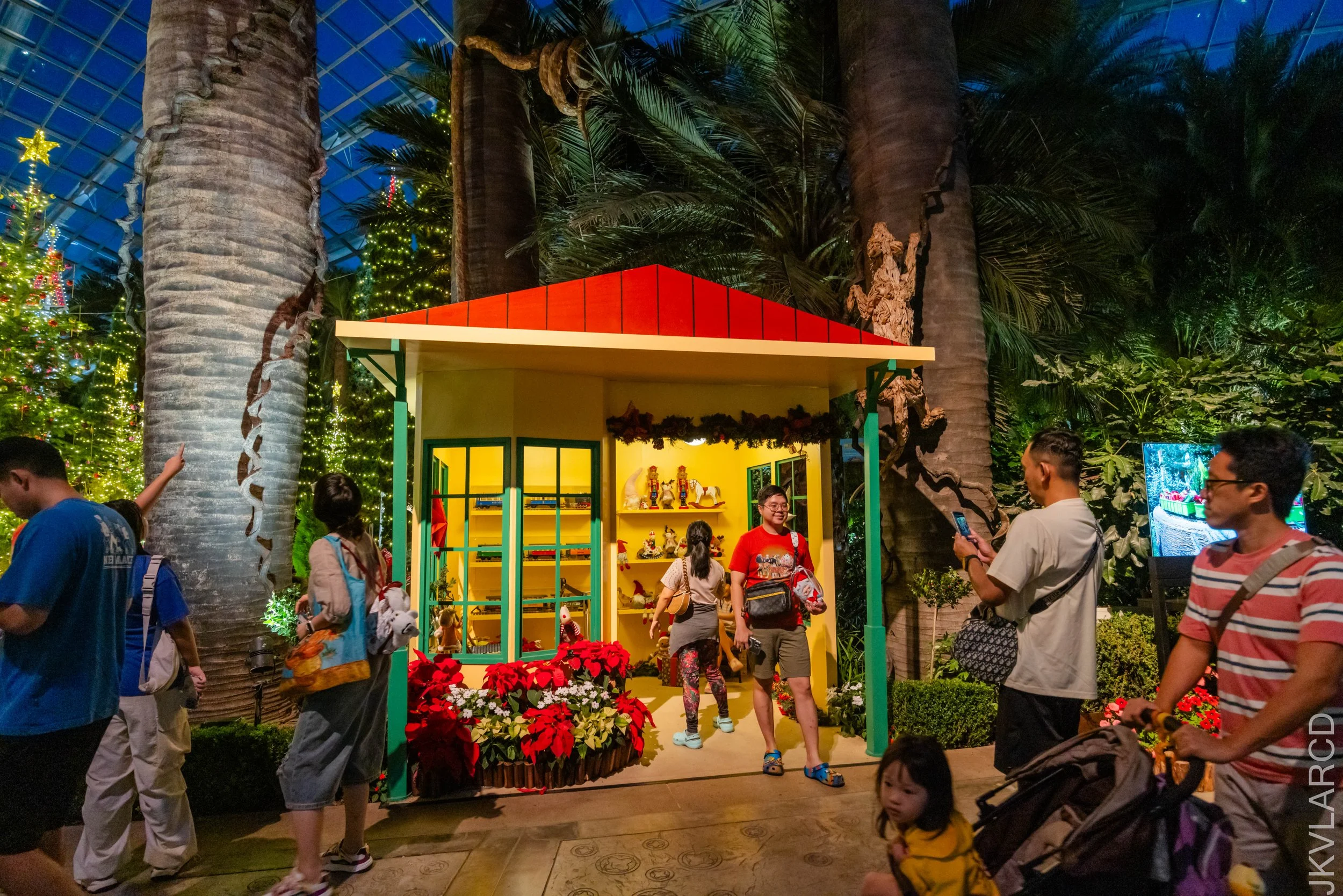 EOS R5_2024_12_07_0119.jpg