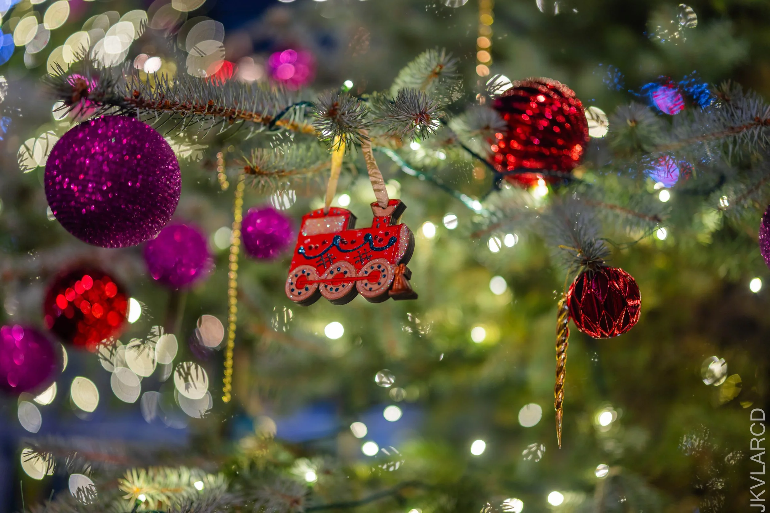 EOS R5_2024_12_07_0147.jpg