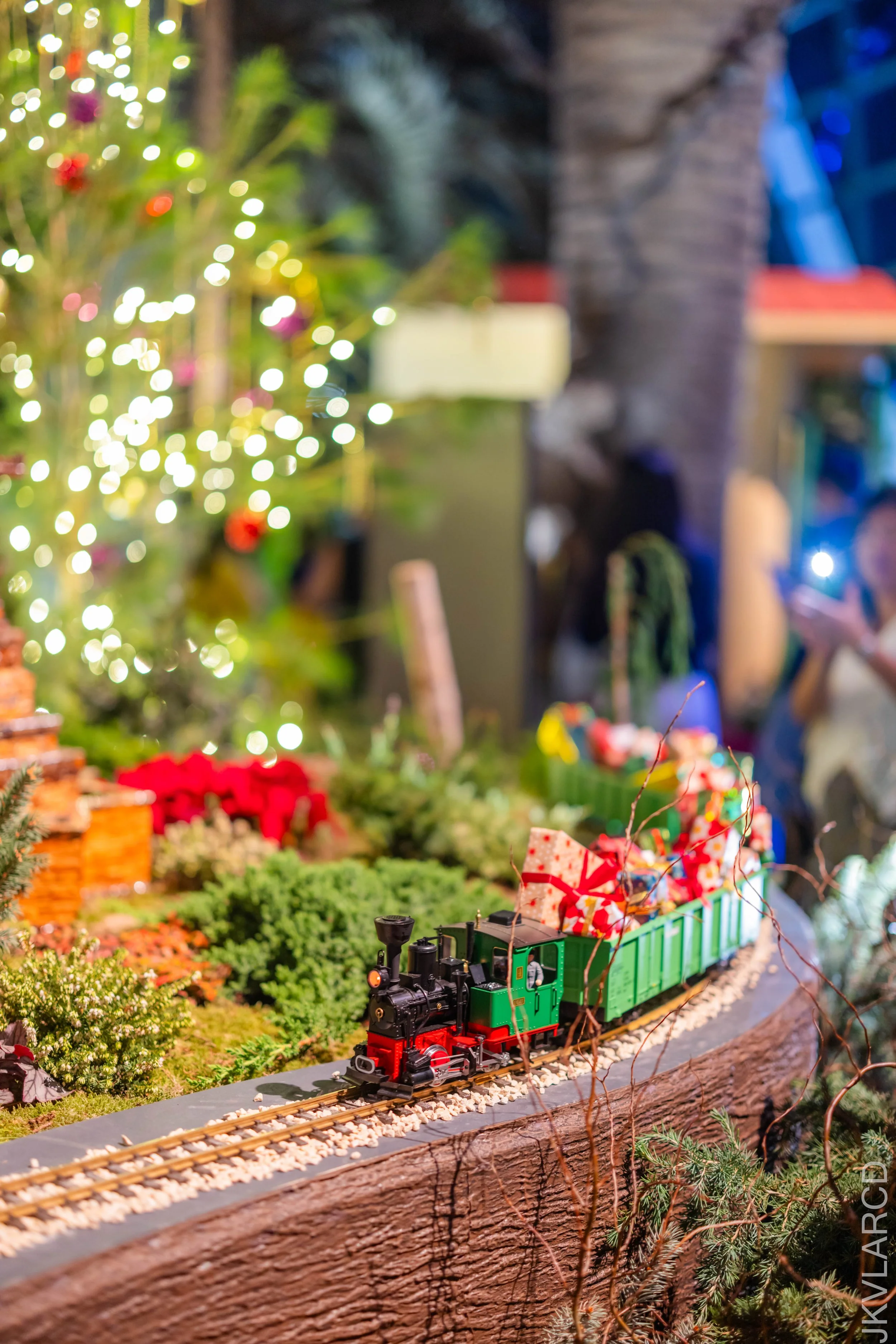 EOS R5_2024_12_07_0154.jpg