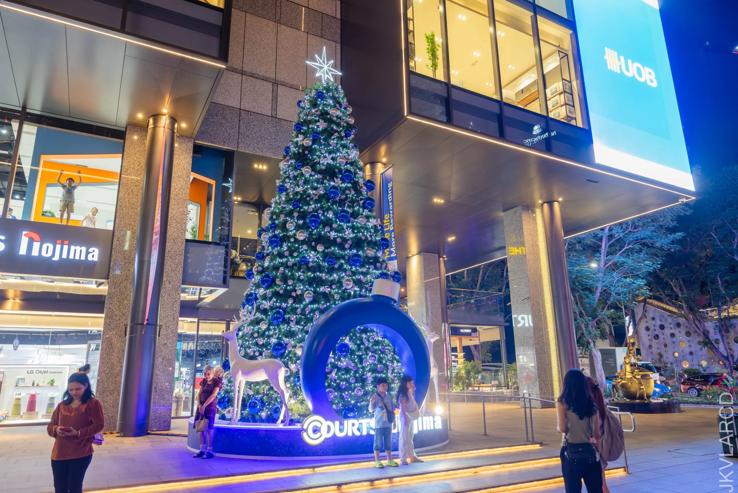 EOS R5_2024_12_14_0077.jpg