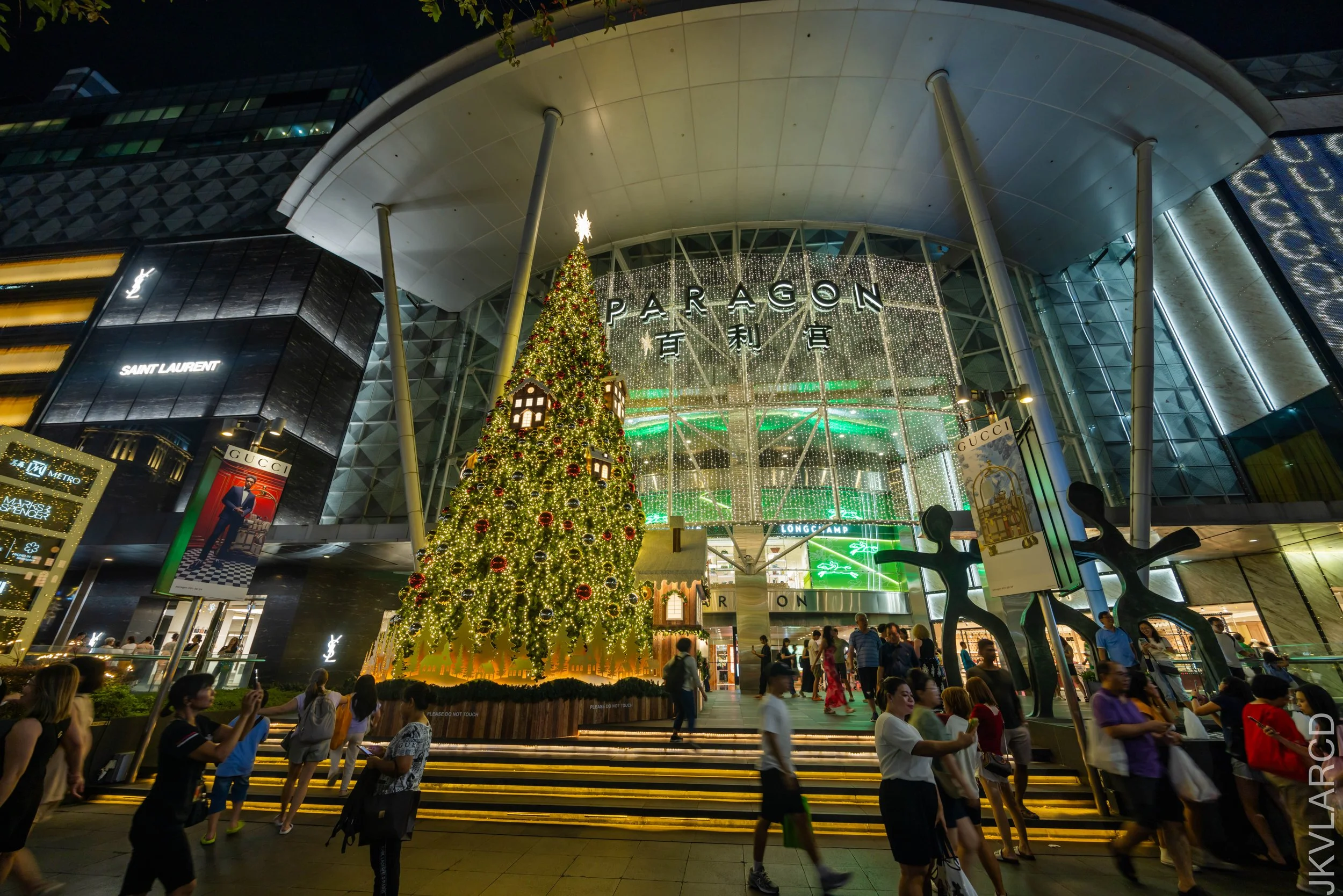 EOS R5_2024_12_14_0102.jpg