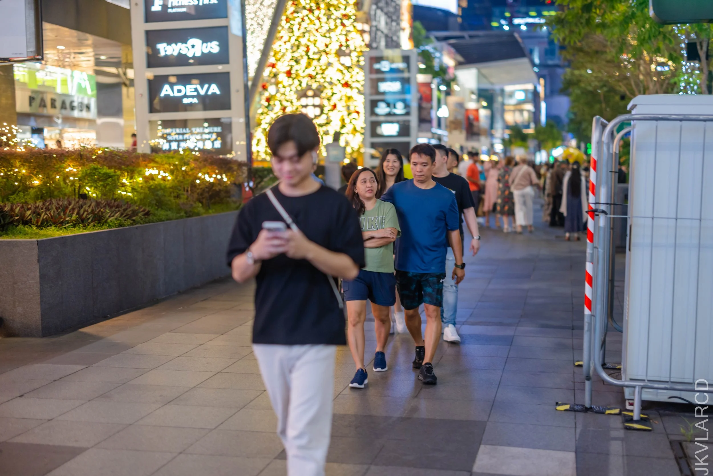 EOS R5_2024_12_14_0147.jpg