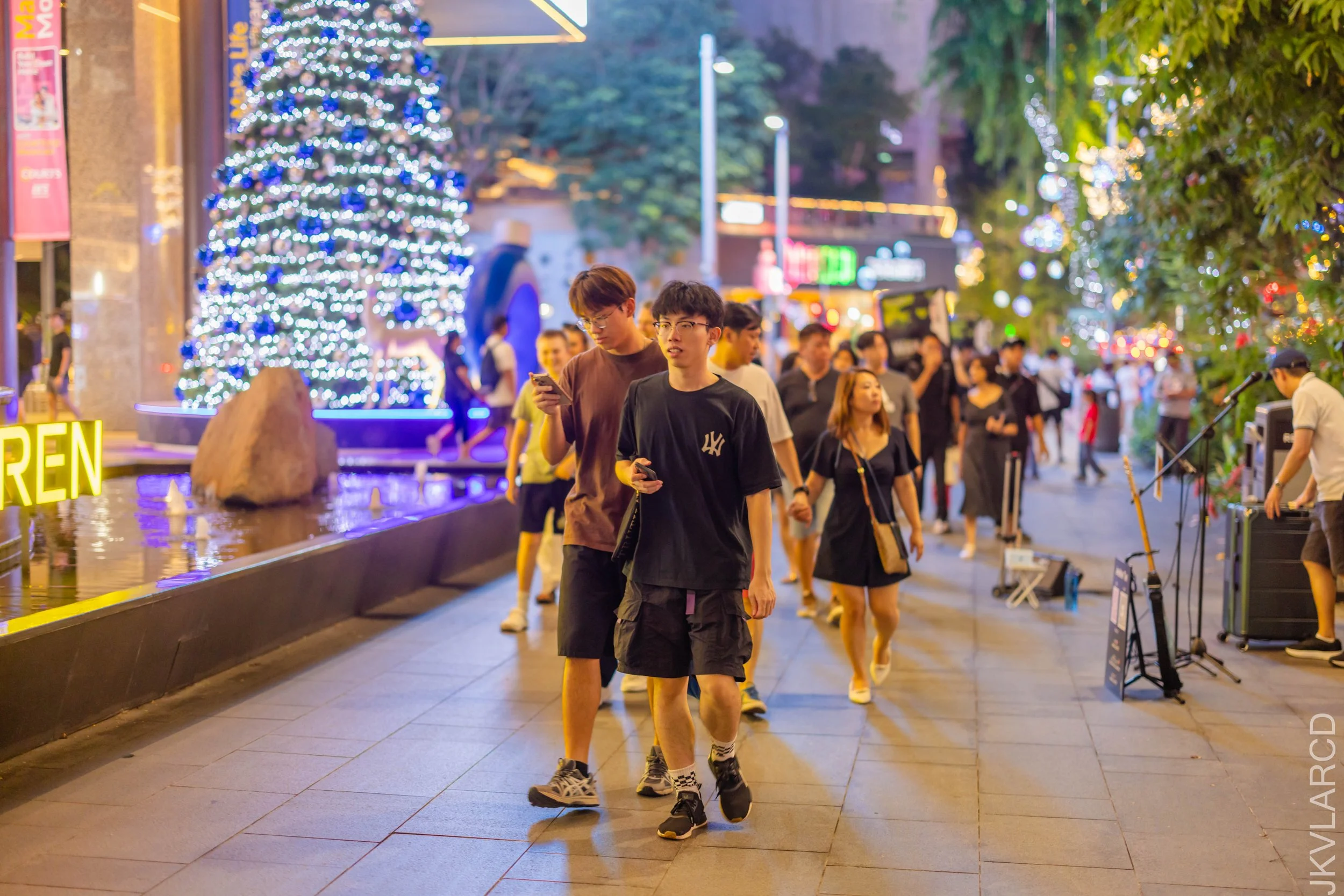 EOS R5_2024_12_14_0163.jpg