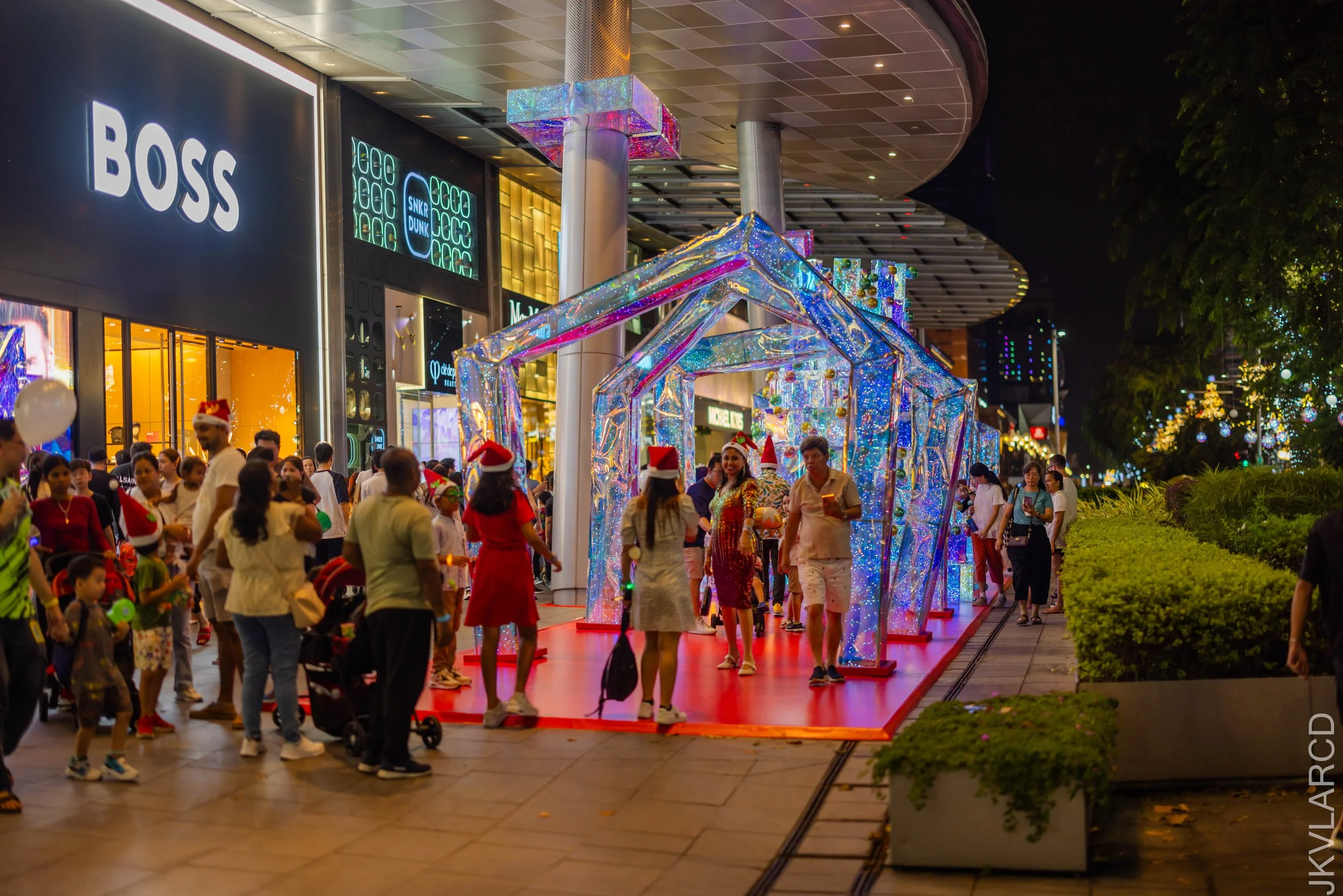 EOS R5_2024_12_14_0205.jpg