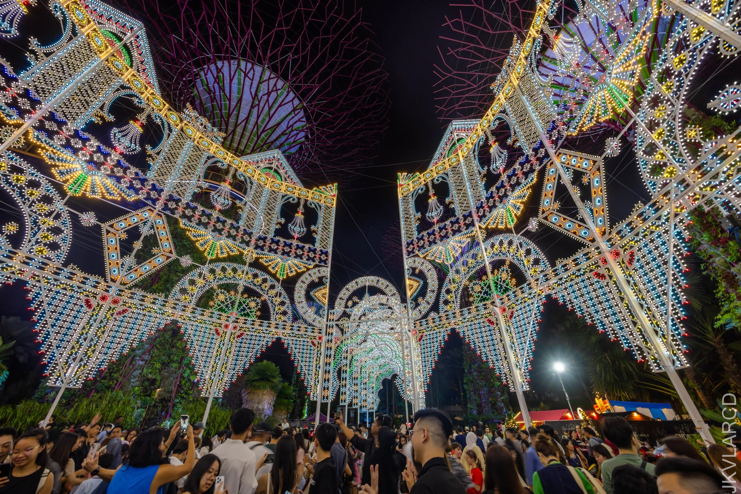 EOS R5_2024_12_21_0090.jpg