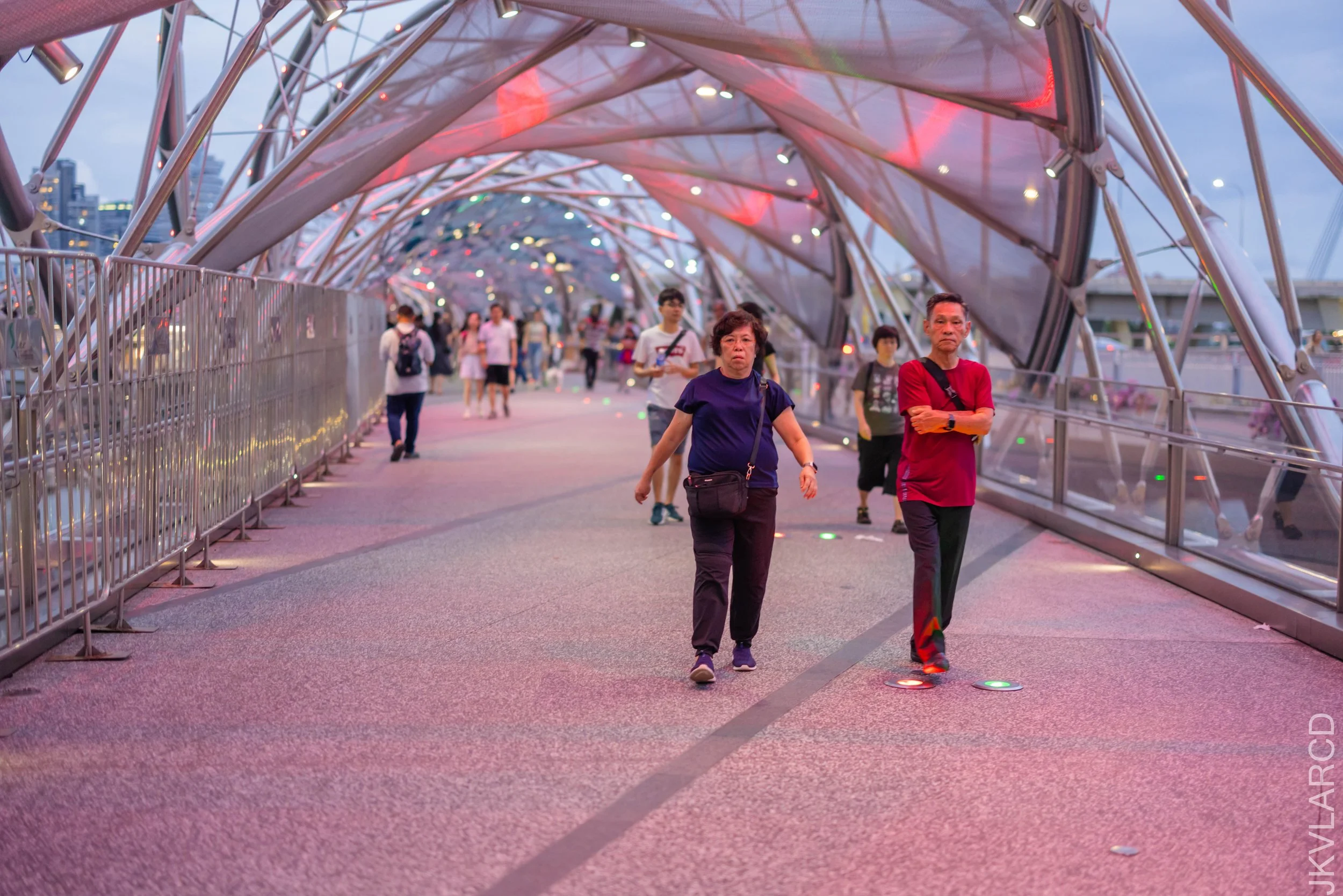 EOS R5_2024_12_28_0074.jpg