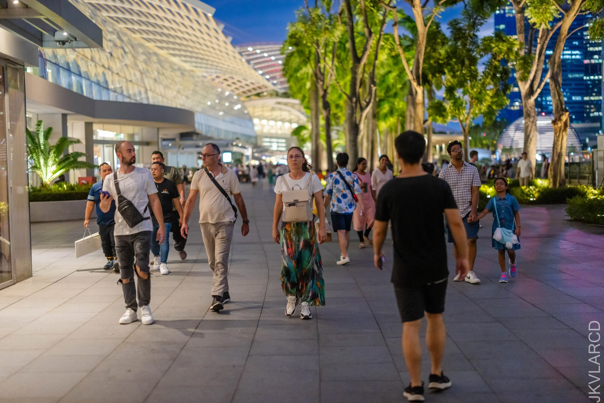 EOS R5_2024_12_28_0111.jpg