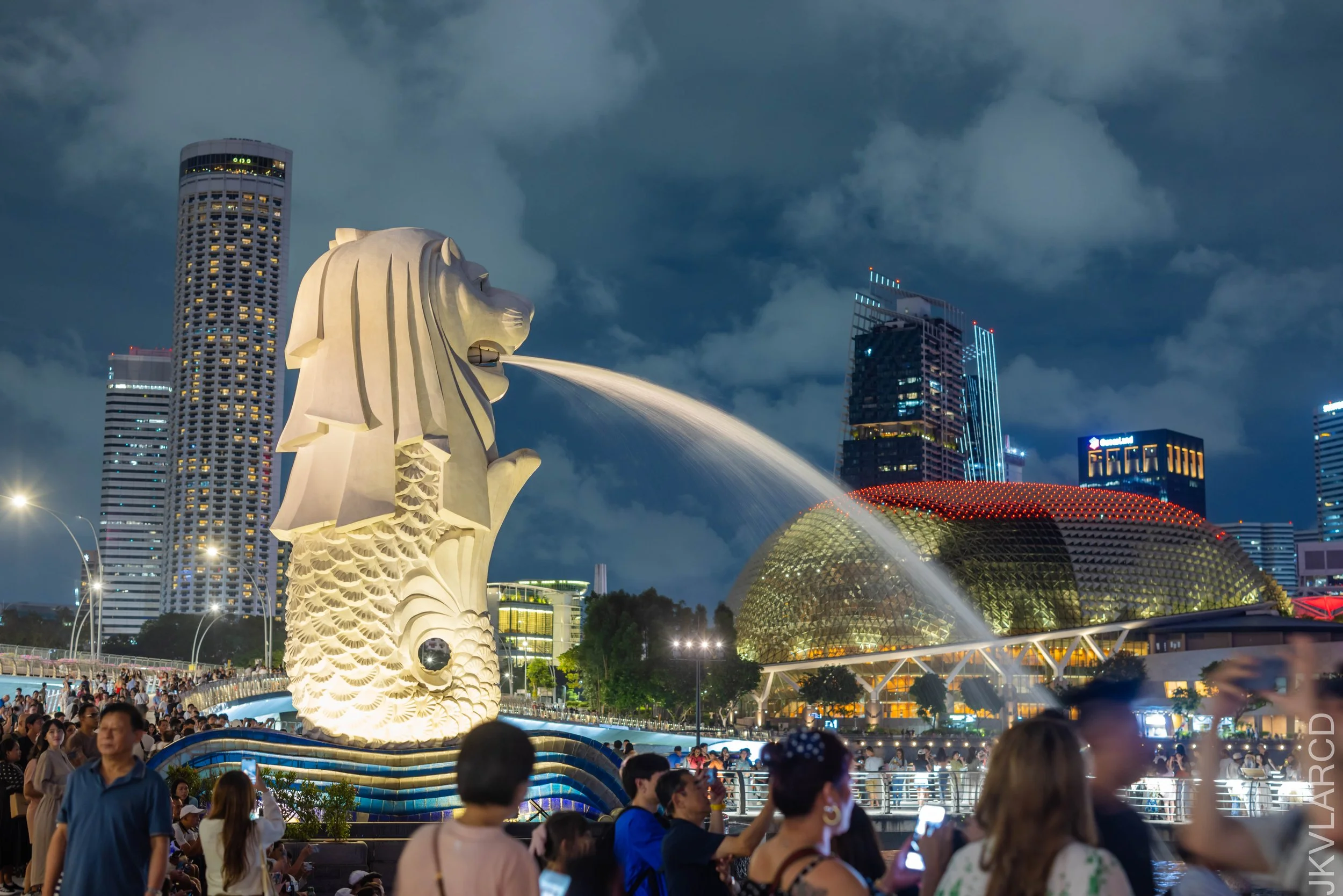 EOS R5_2024_12_28_0191.jpg