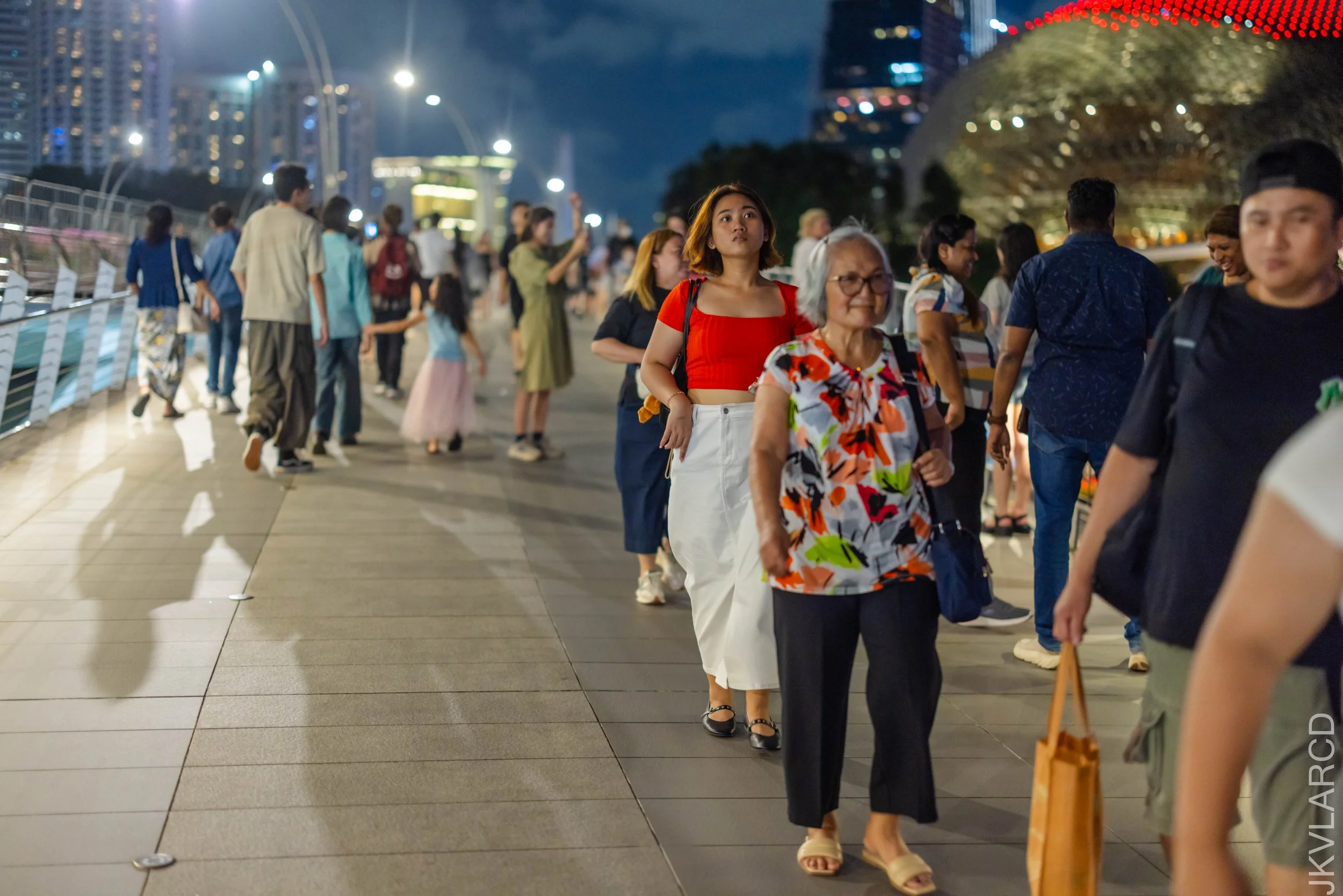 EOS R5_2024_12_28_0216.jpg