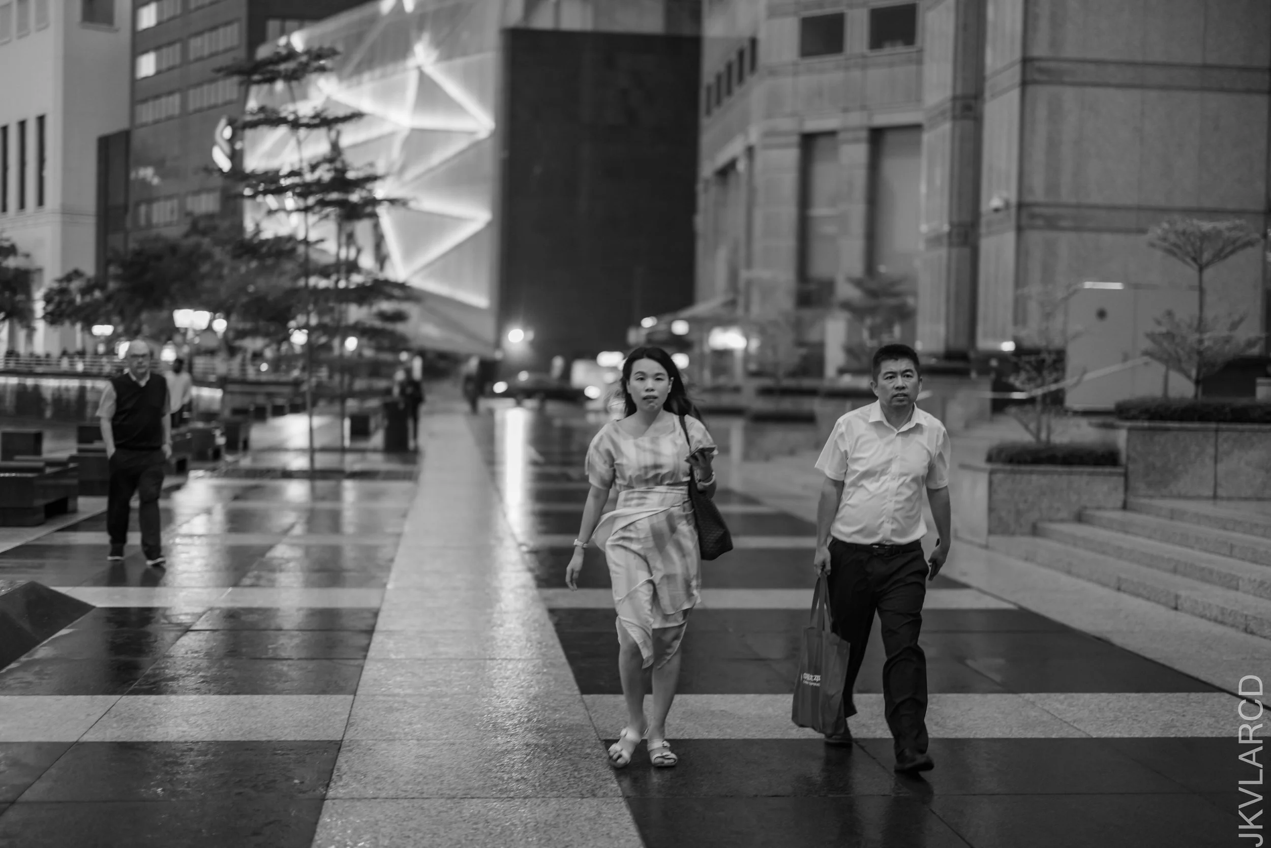 EOS R5_2025_01_11_0005.jpg