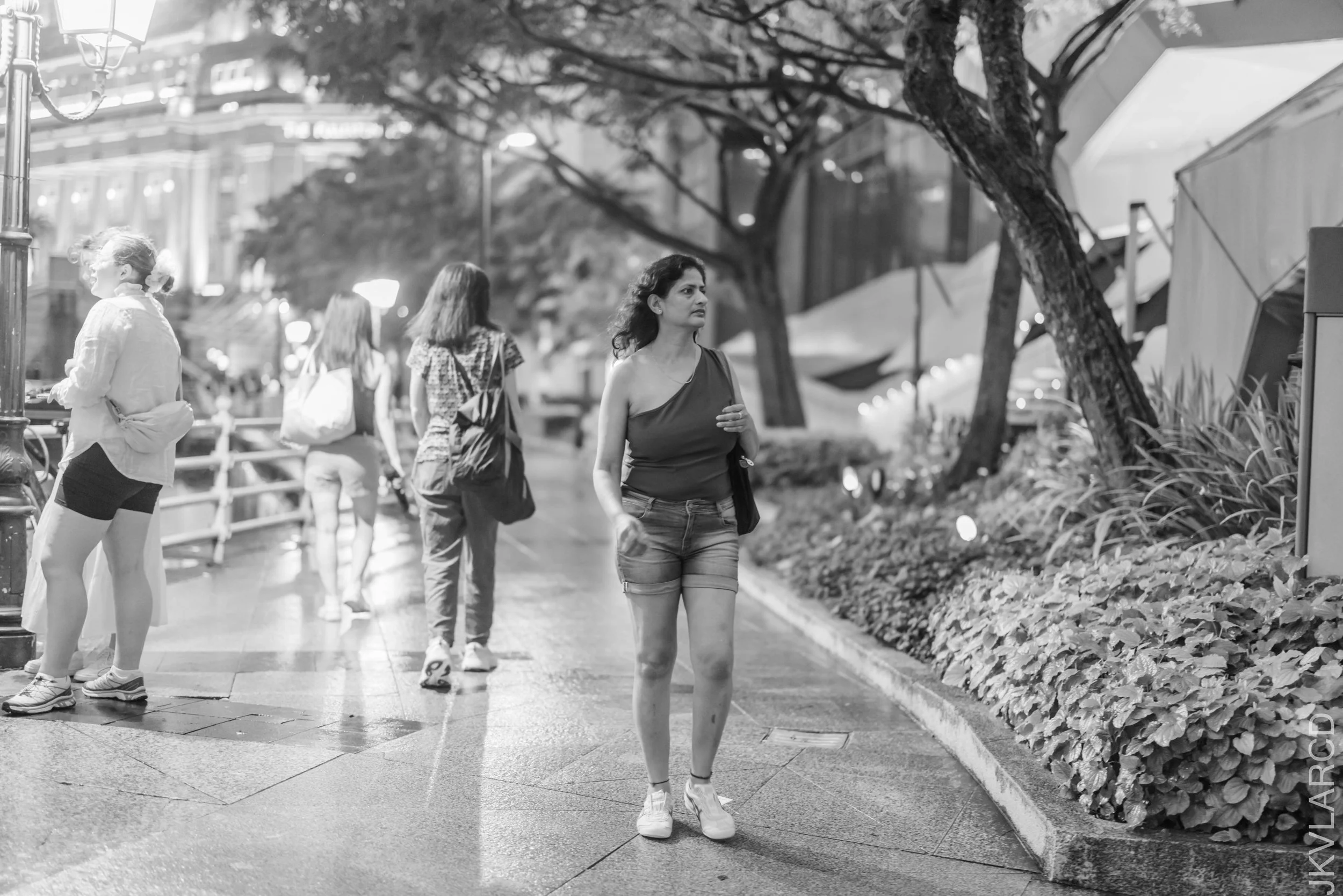 EOS R5_2025_01_11_0009.jpg