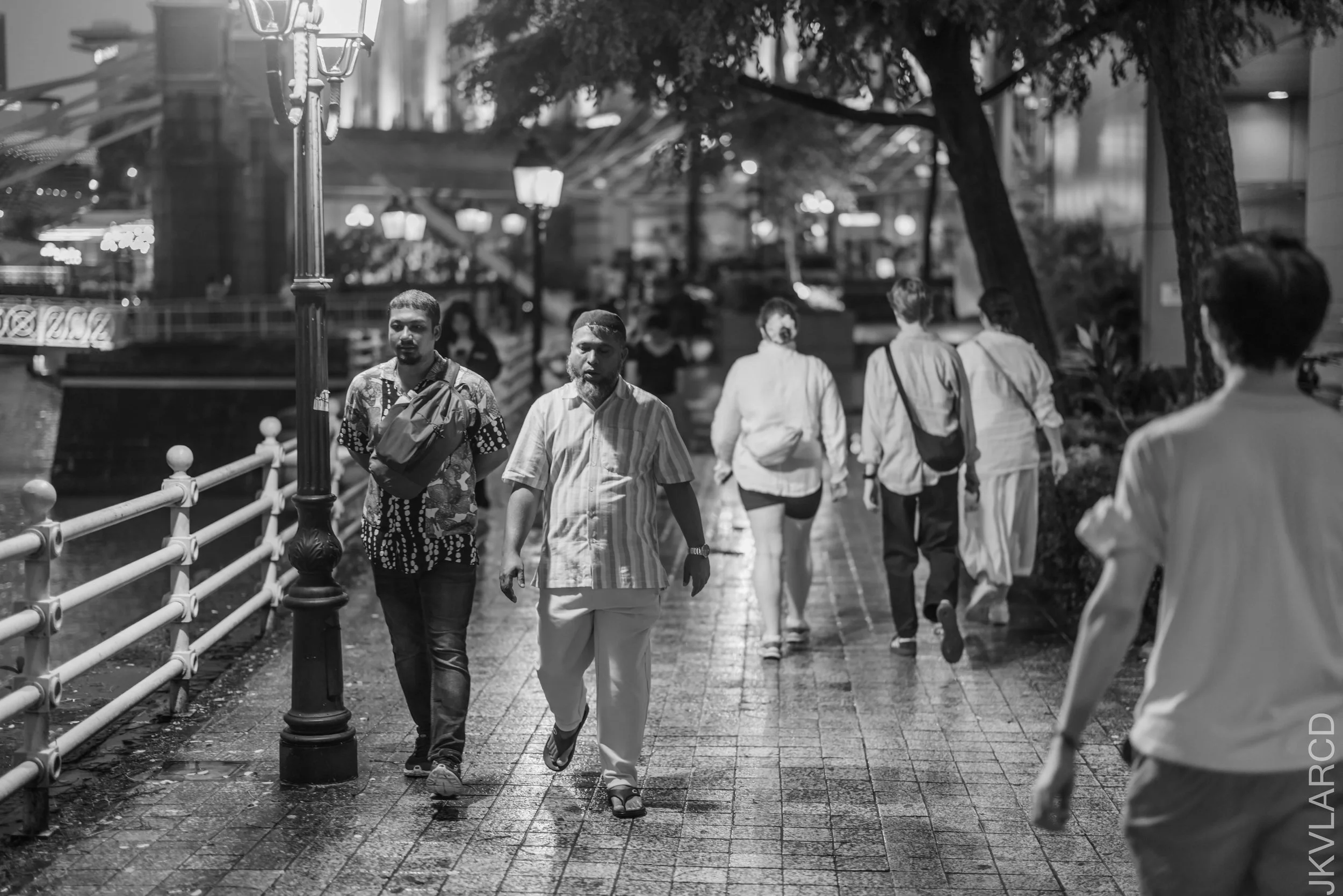 EOS R5_2025_01_11_0015.jpg