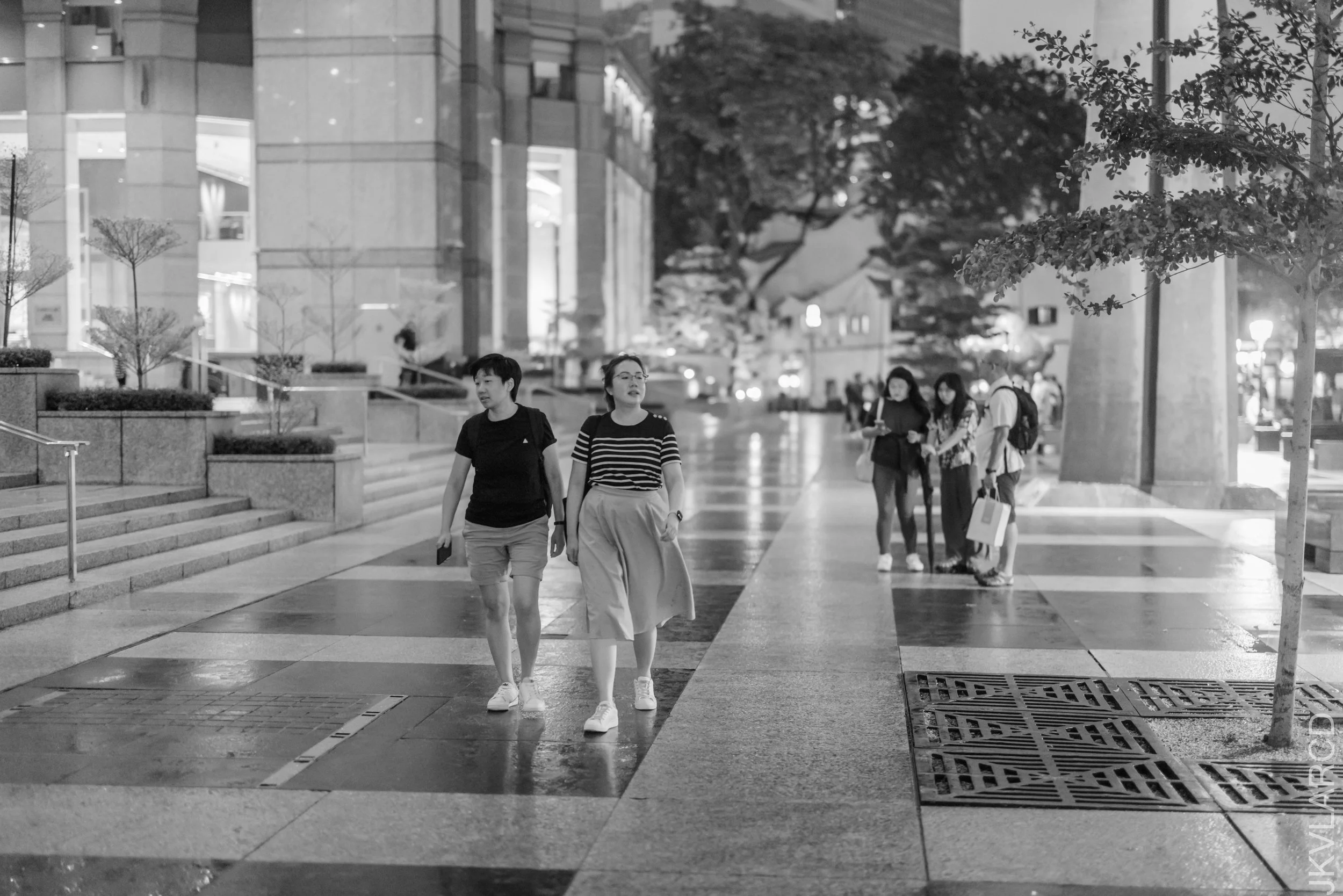 EOS R5_2025_01_11_0043.jpg