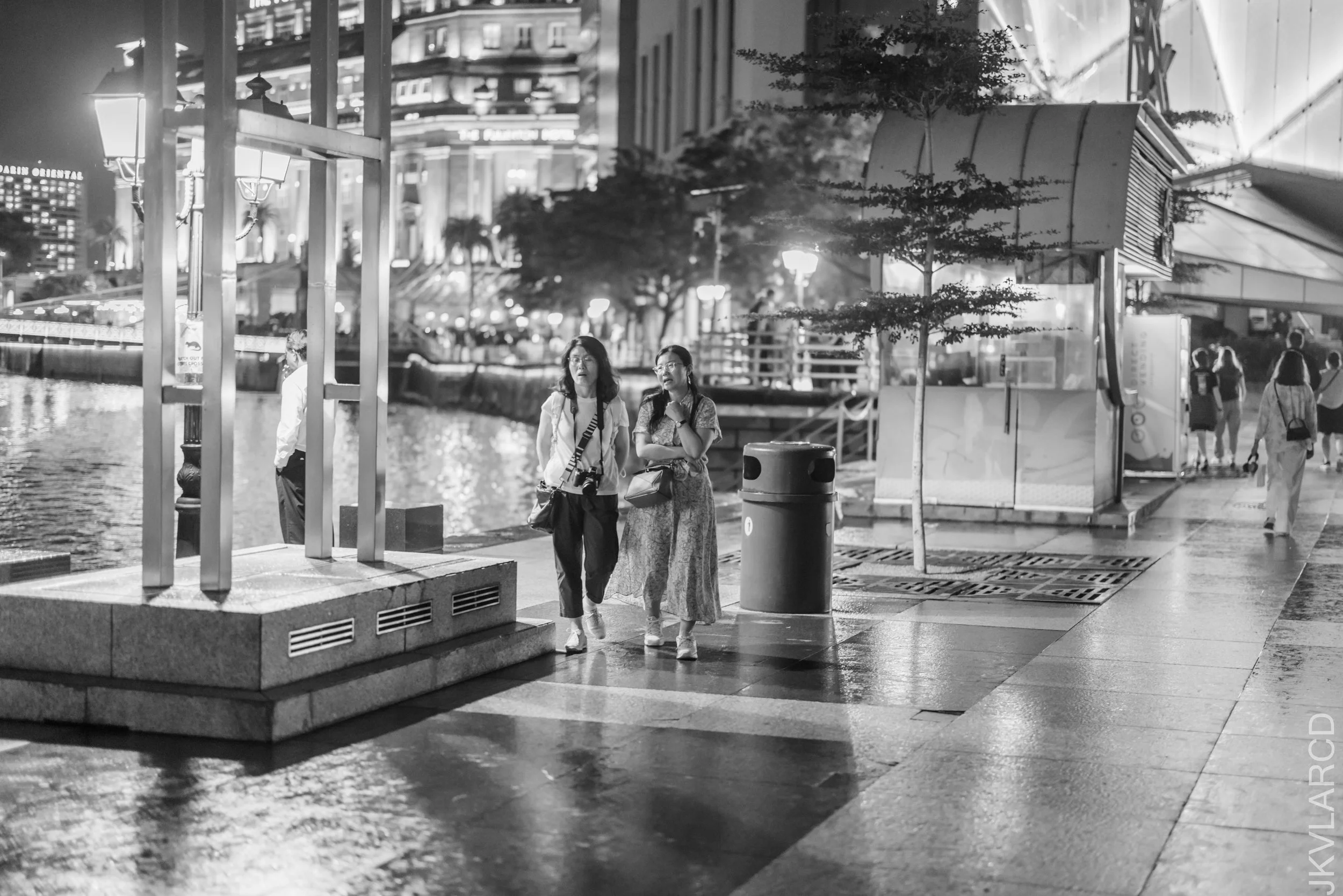 EOS R5_2025_01_11_0088.jpg