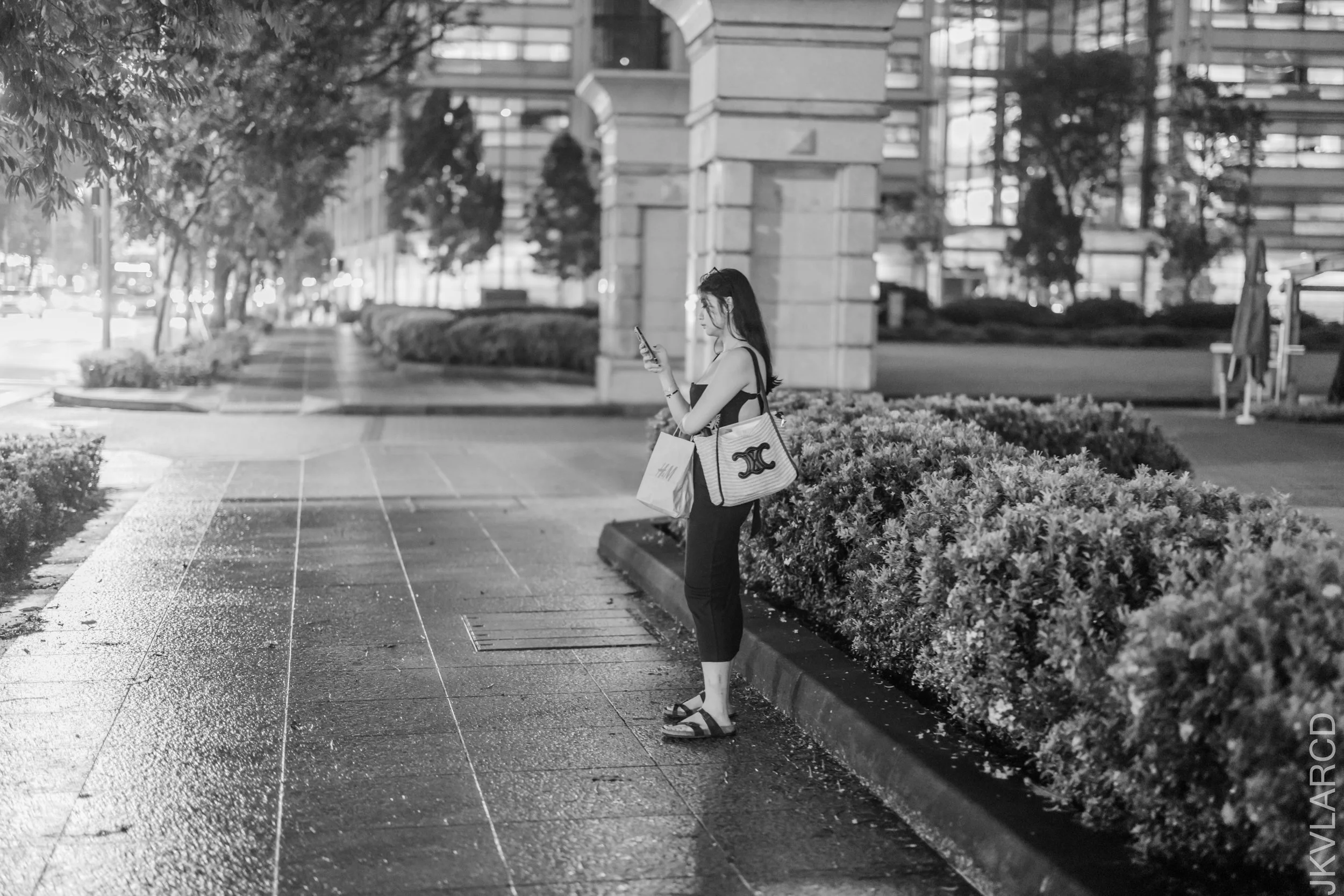 EOS R5_2025_01_11_0107.jpg