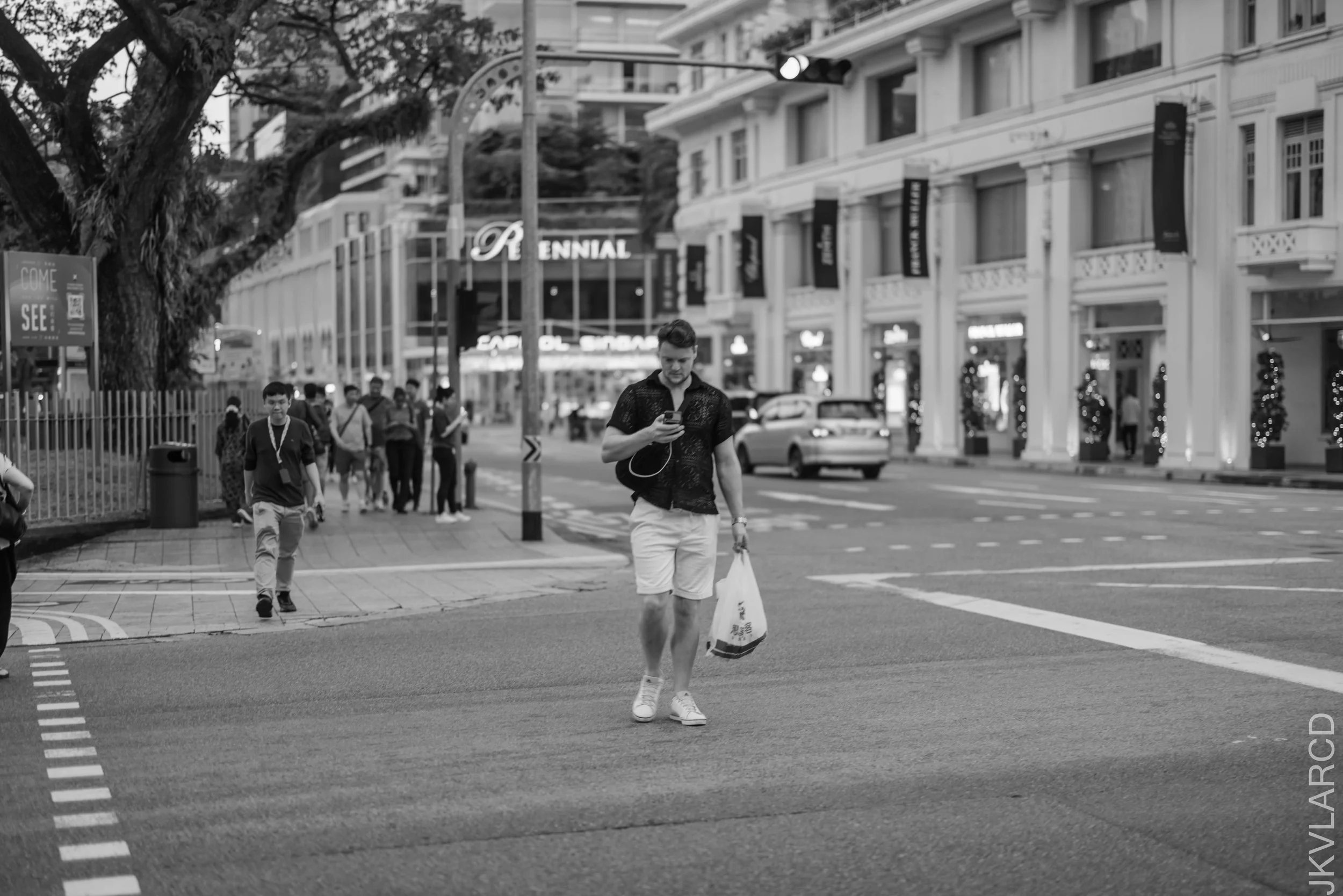 EOS R5_2025_02_01_0006.jpg