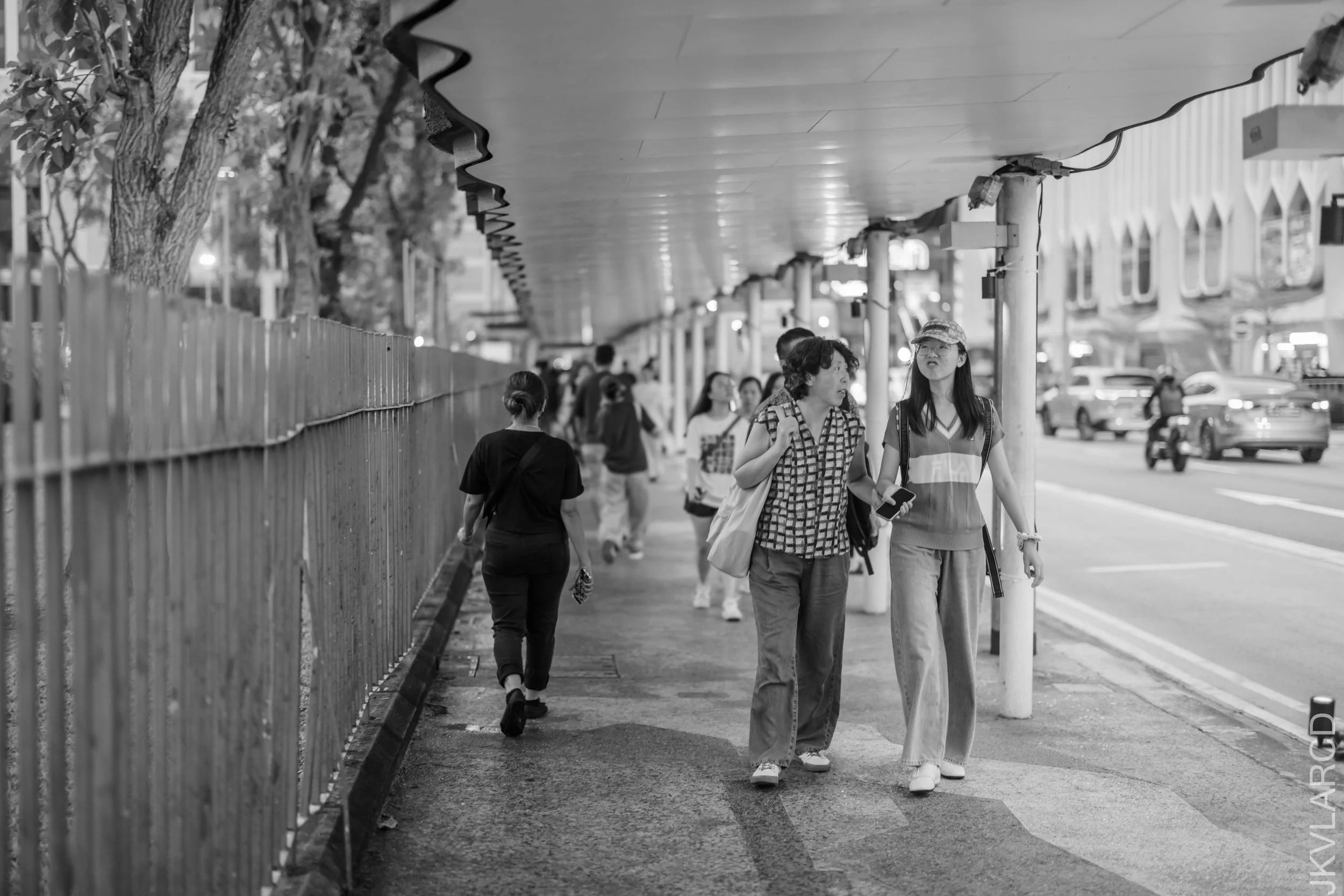 EOS R5_2025_02_01_0016.jpg