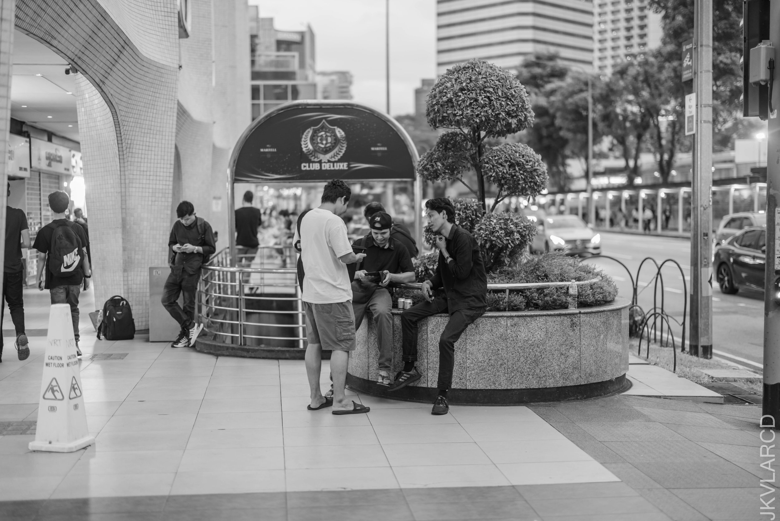 EOS R5_2025_02_01_0031.jpg