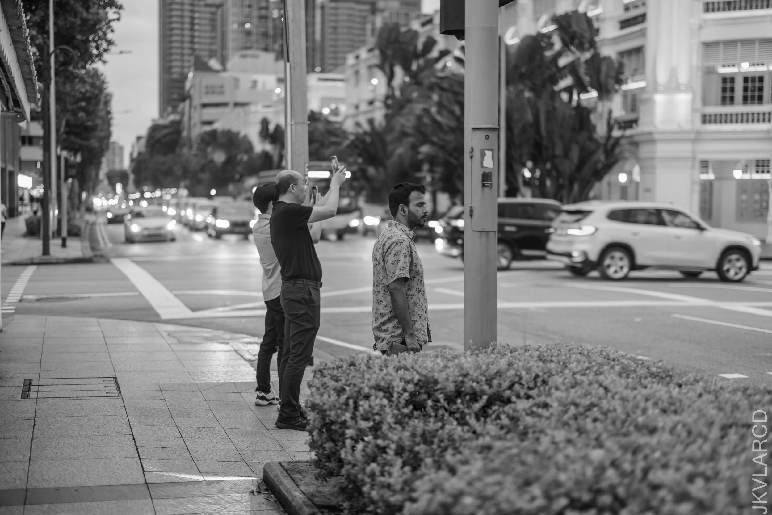 EOS R5_2025_02_01_0039.jpg