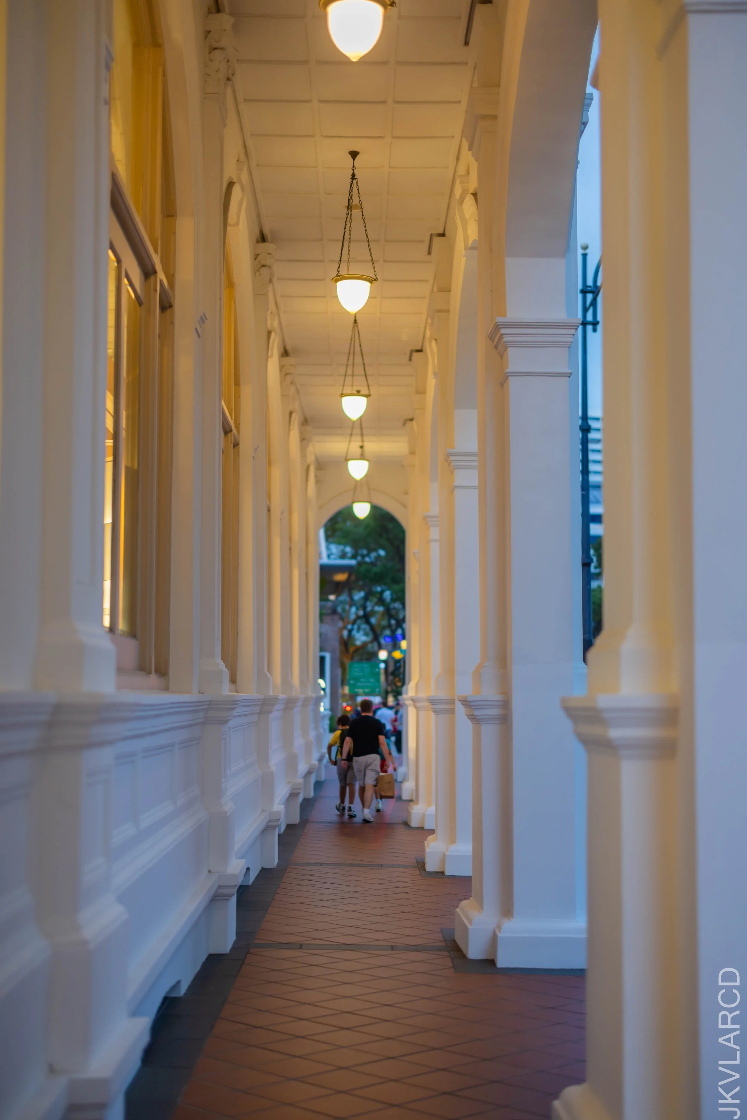 EOS R5_2025_02_01_0042.jpg