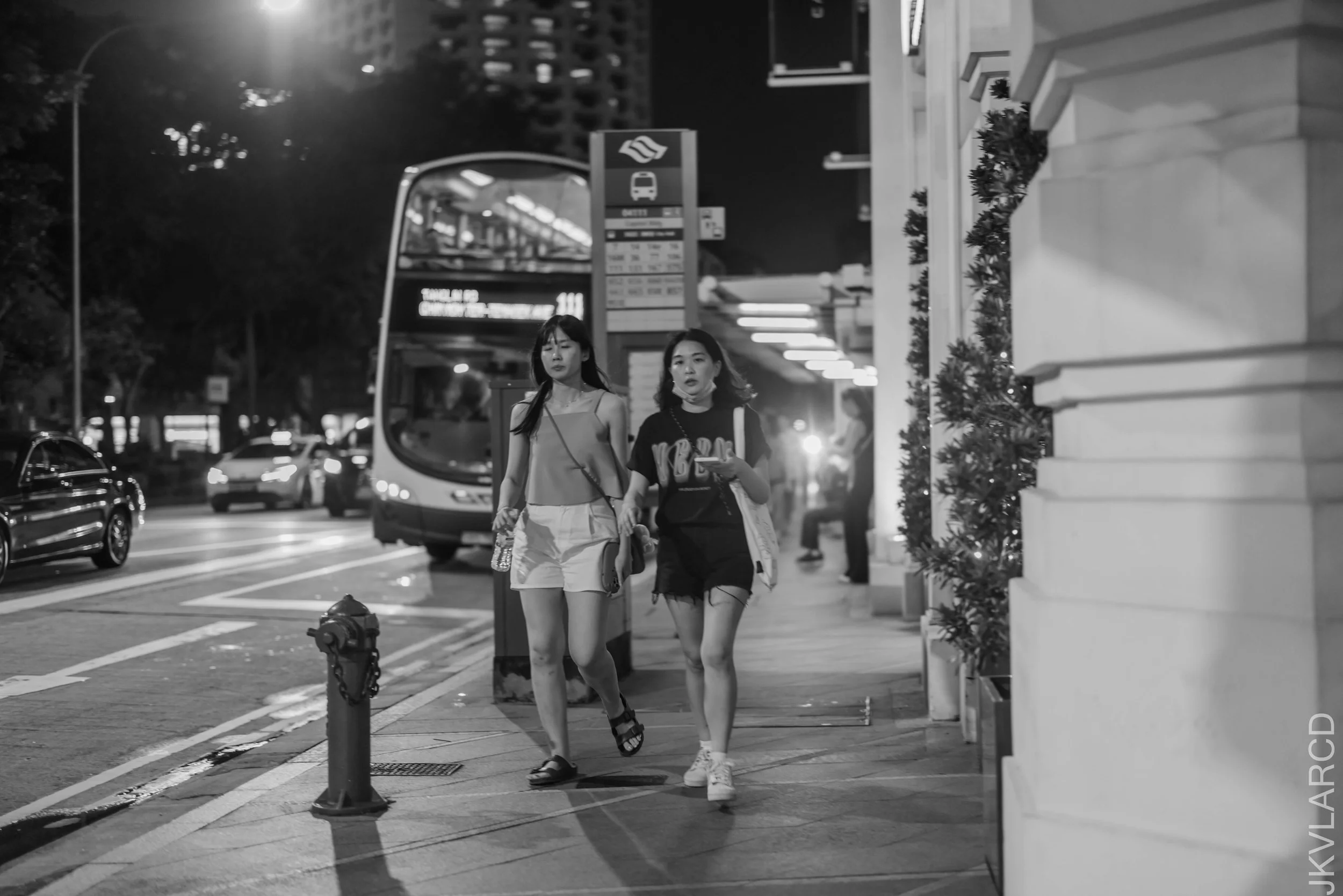 EOS R5_2025_02_01_0053.jpg