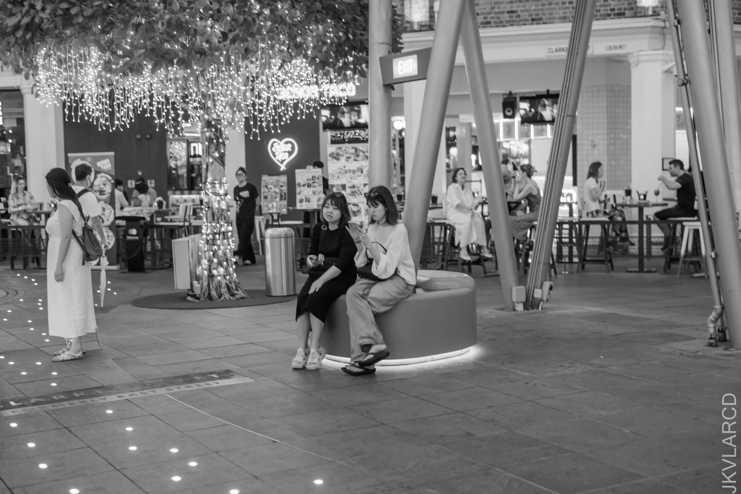 EOS R5_2025_02_15_0121.jpg