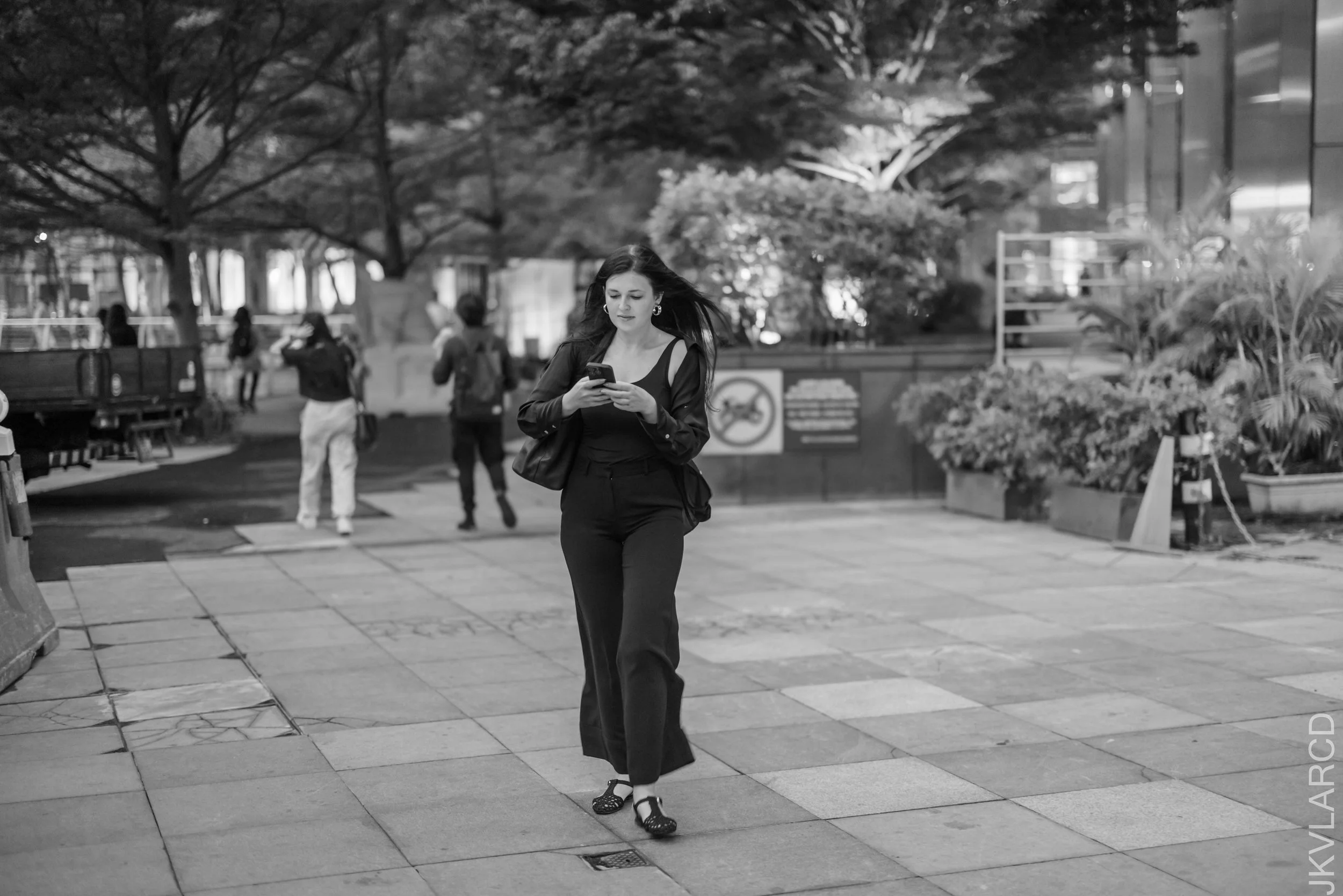 EOS R5_2025_03_08_0011.jpg