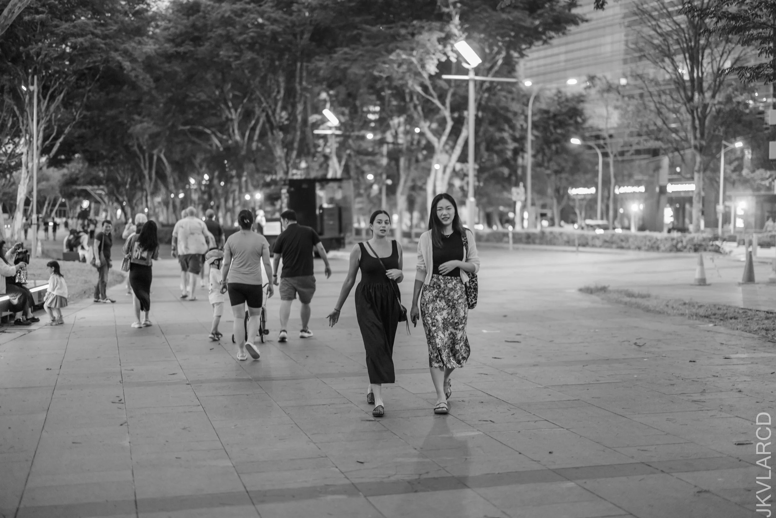 EOS R5_2025_03_08_0015.jpg