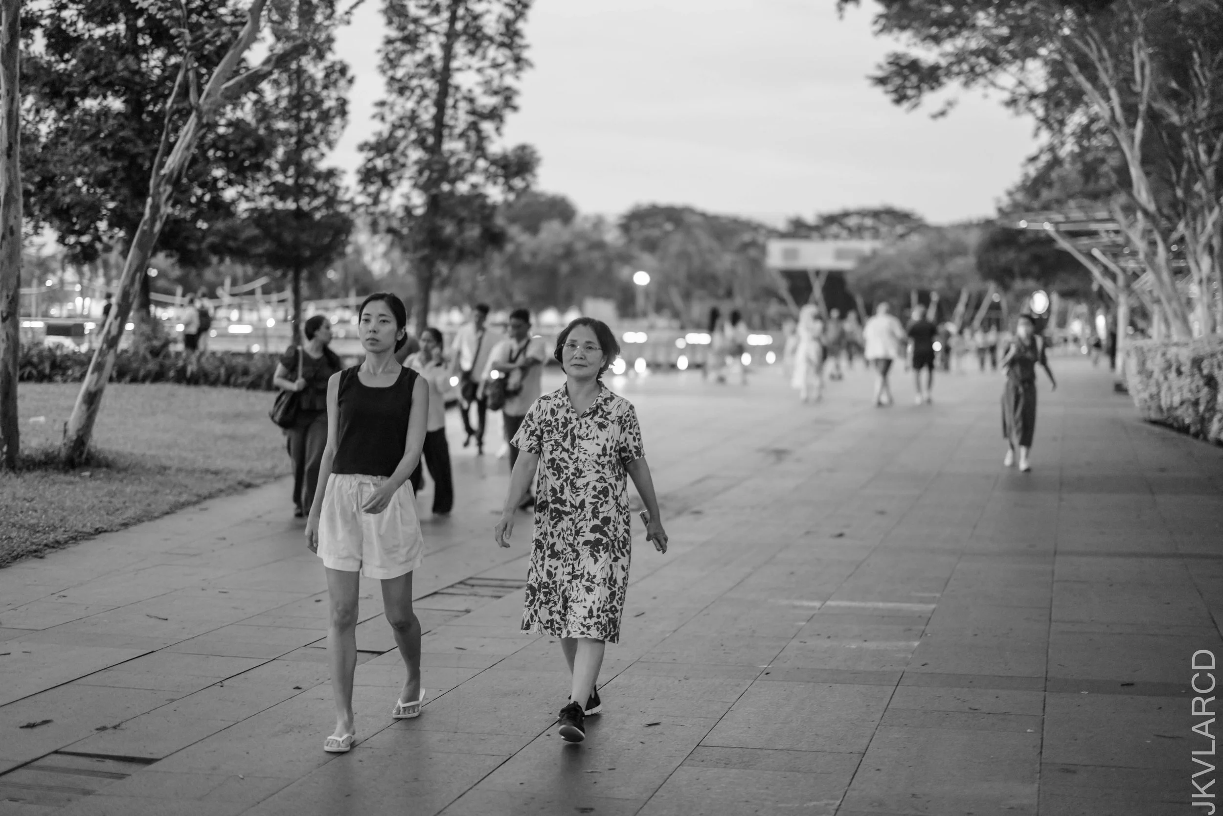 EOS R5_2025_03_08_0016.jpg