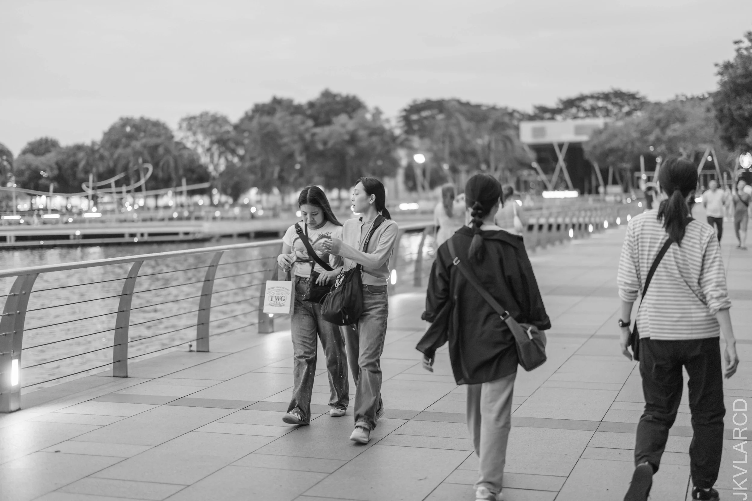 EOS R5_2025_03_08_0018.jpg