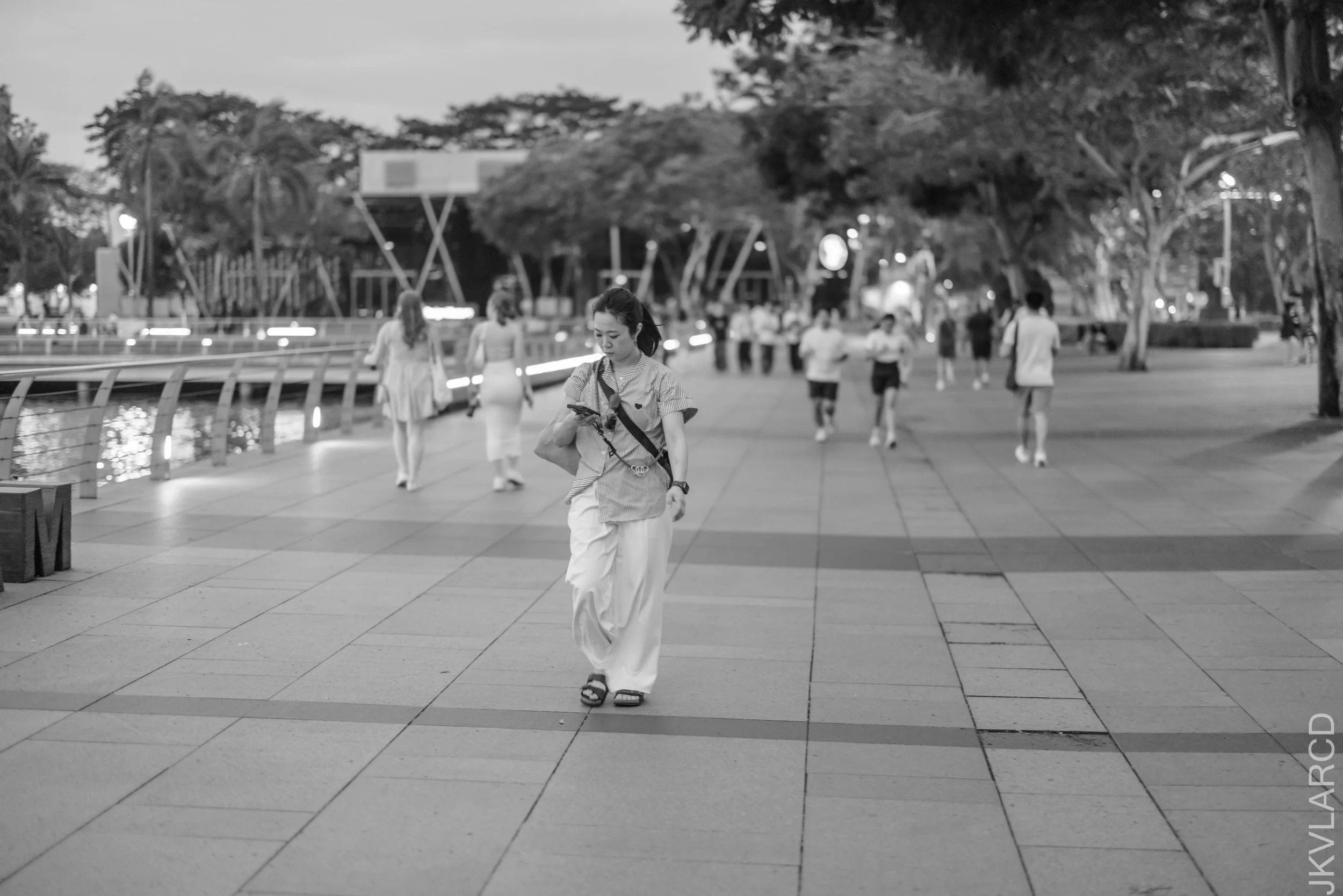 EOS R5_2025_03_08_0022.jpg