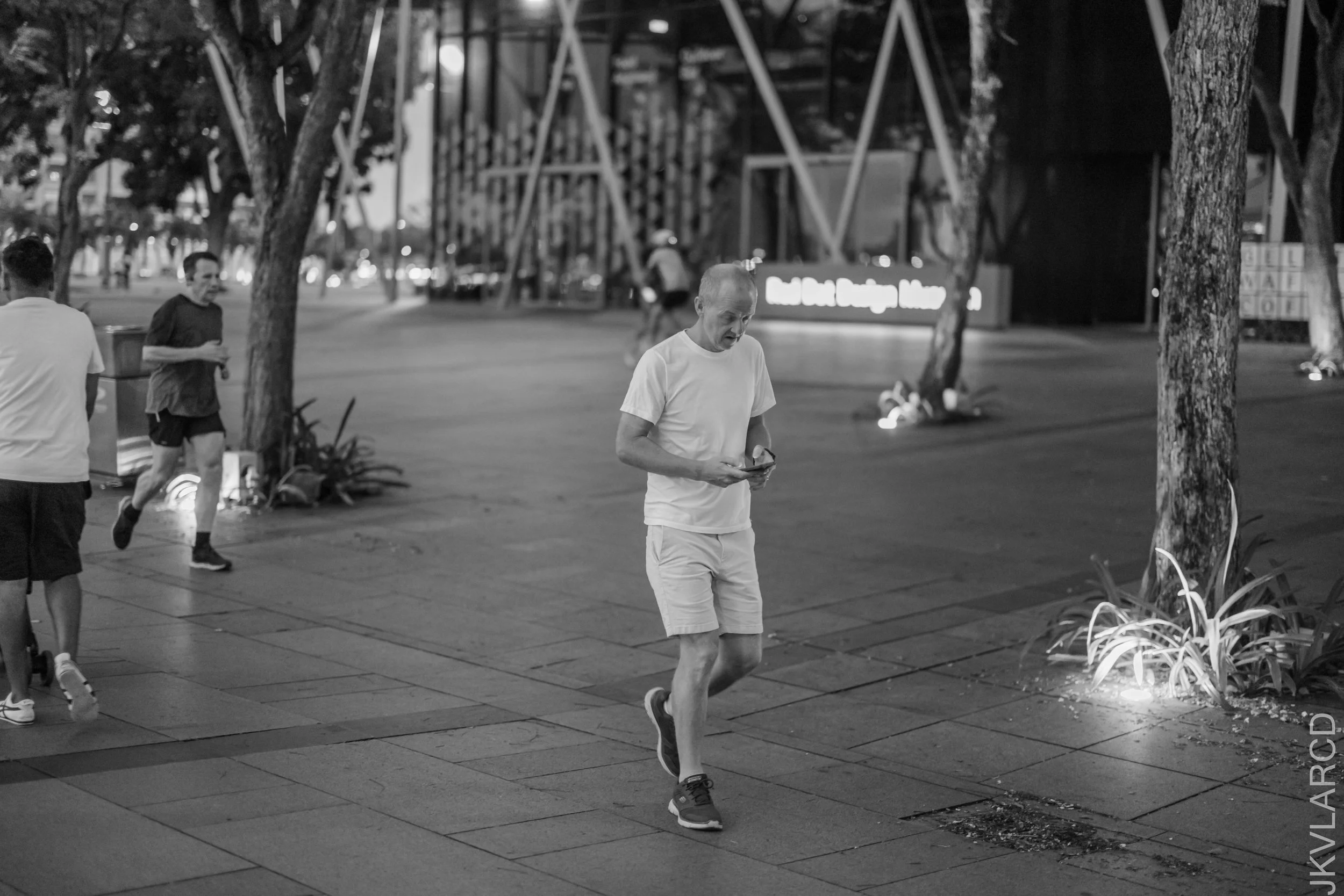 EOS R5_2025_03_08_0026.jpg