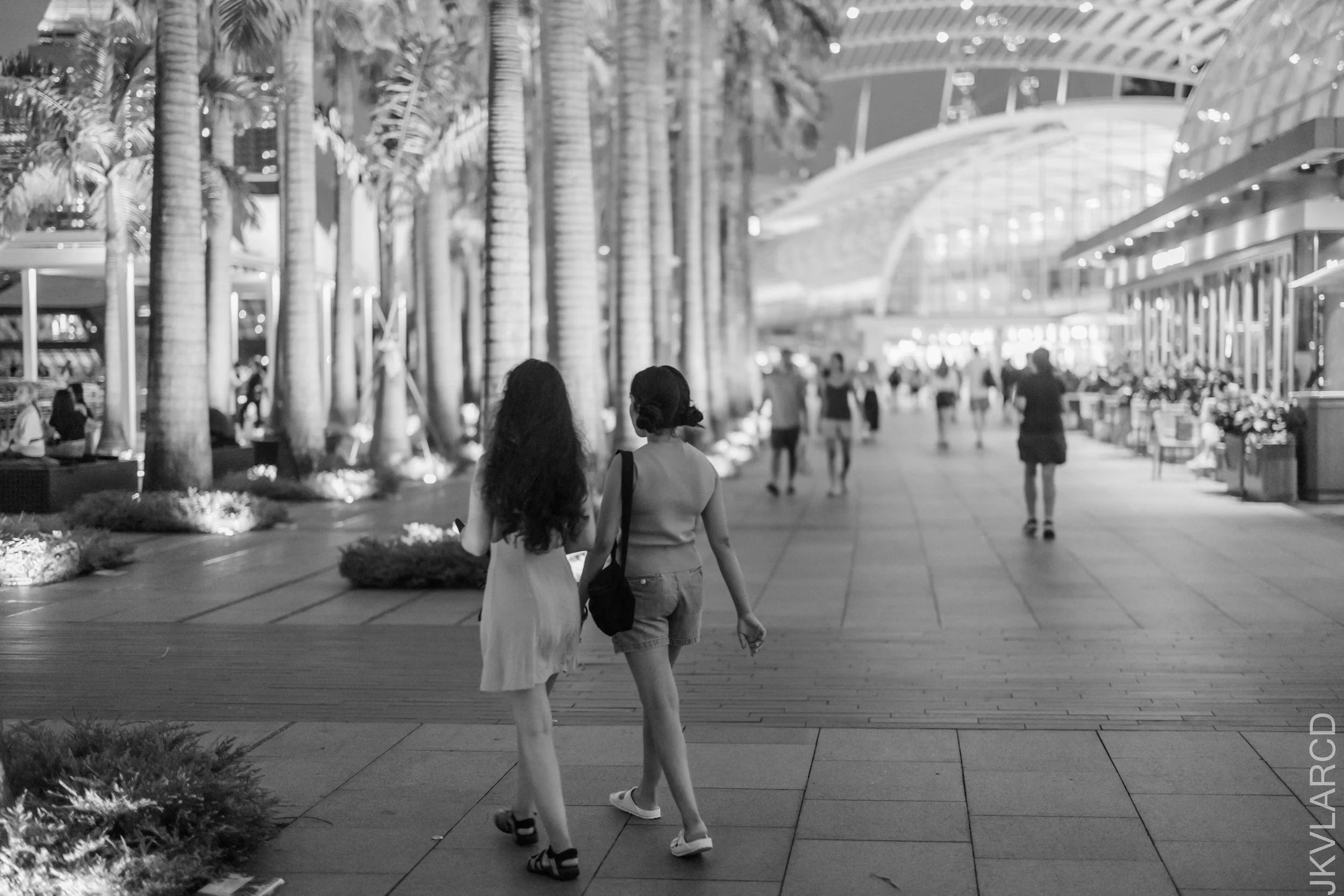 EOS R5_2025_03_08_0040.jpg