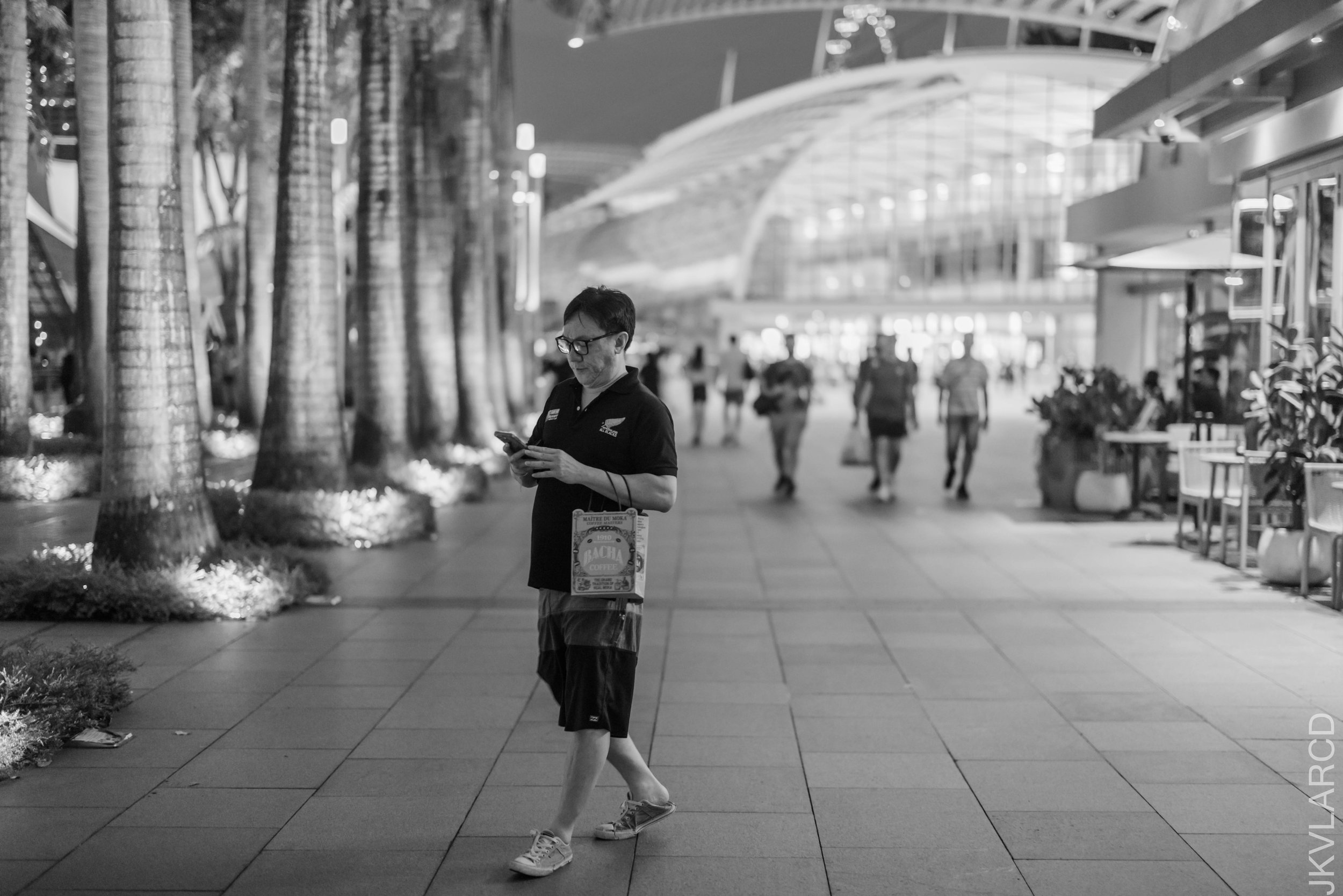 EOS R5_2025_03_08_0042.jpg