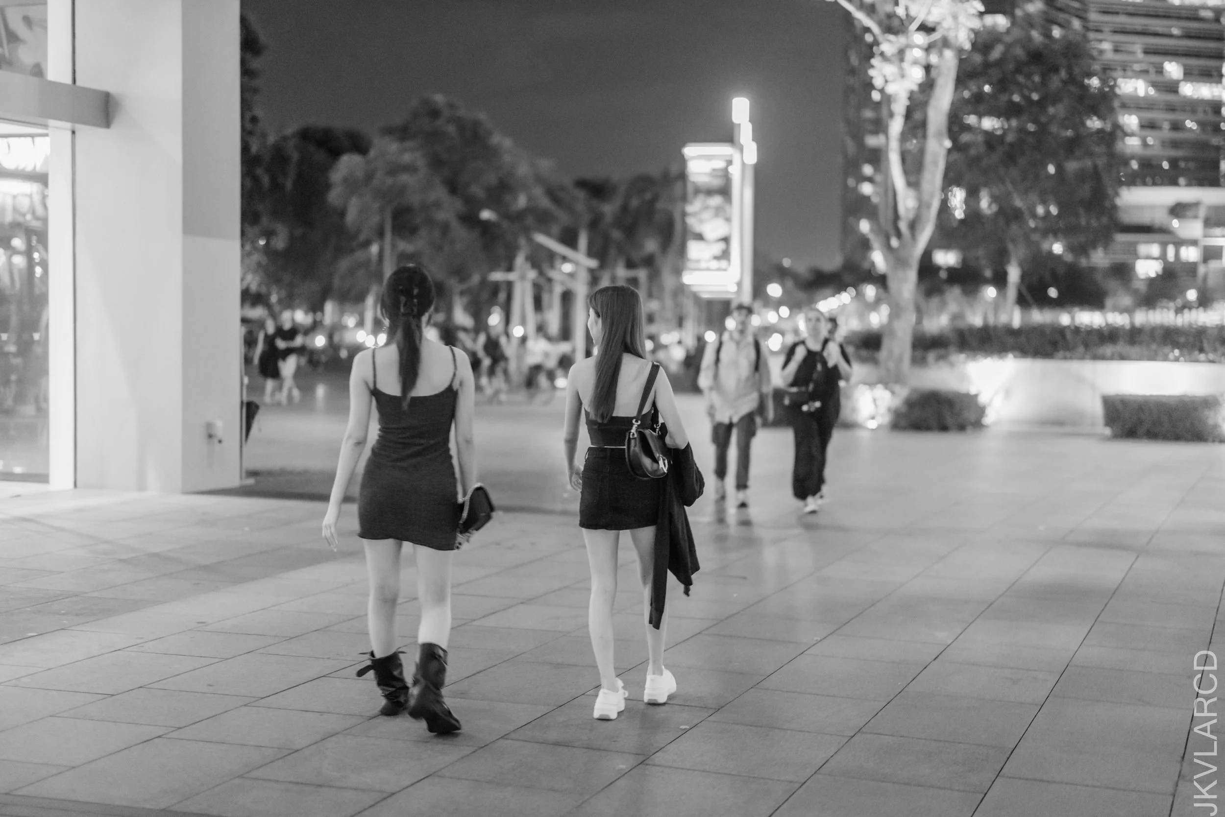 EOS R5_2025_03_08_0086.jpg