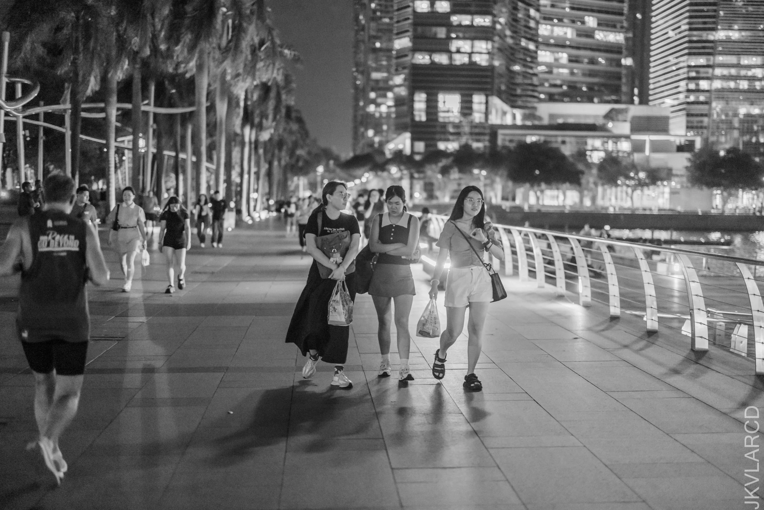 EOS R5_2025_03_08_0090.jpg