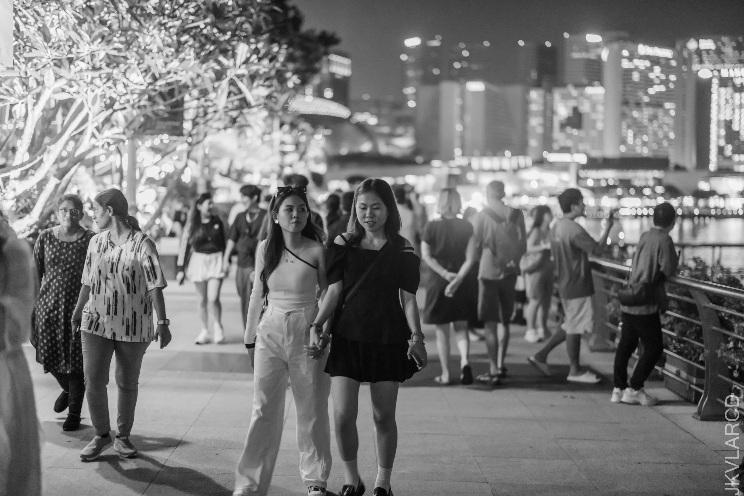 EOS R5_2025_03_08_0129.jpg
