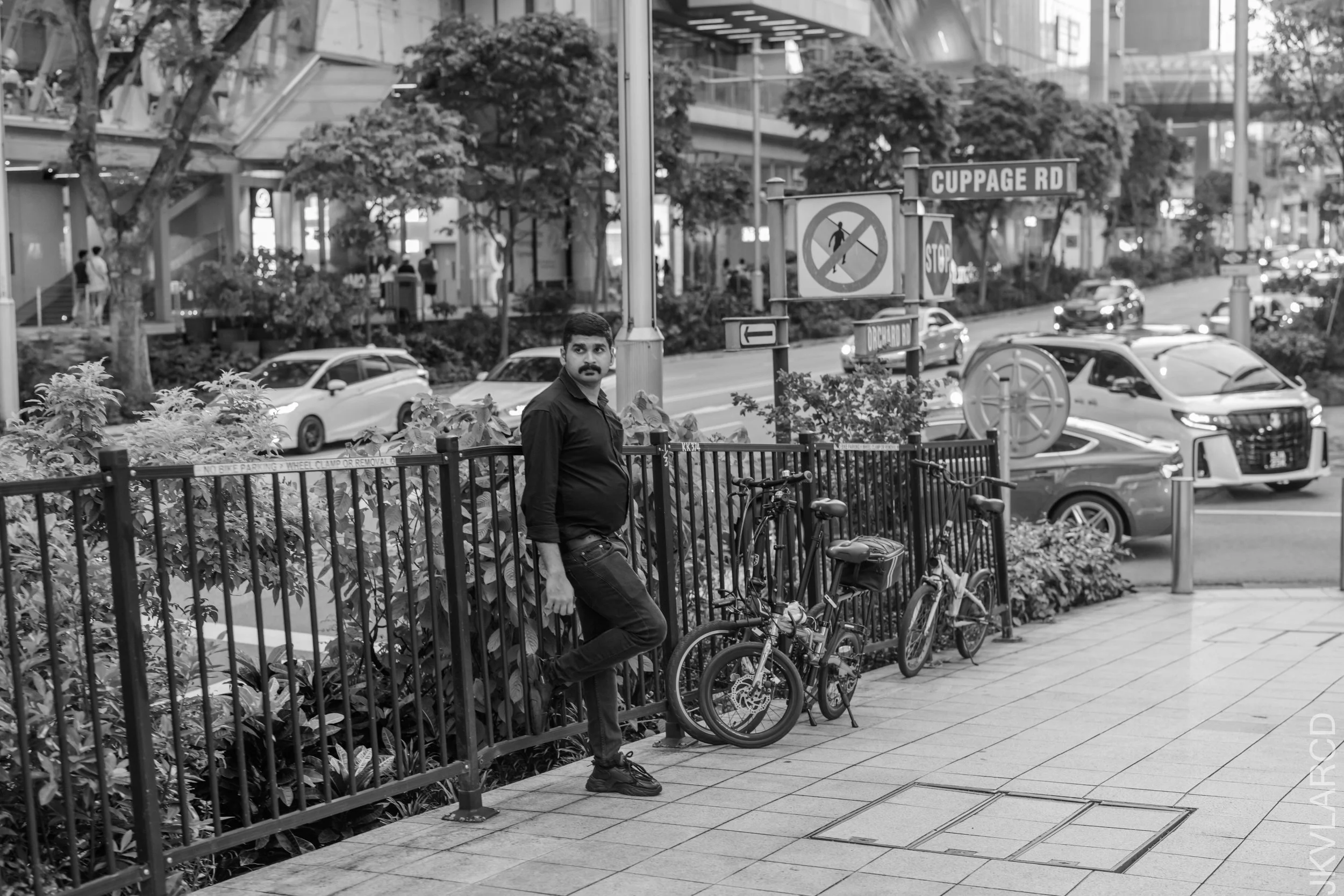 EOS R5_2025_03_15_0018.jpg