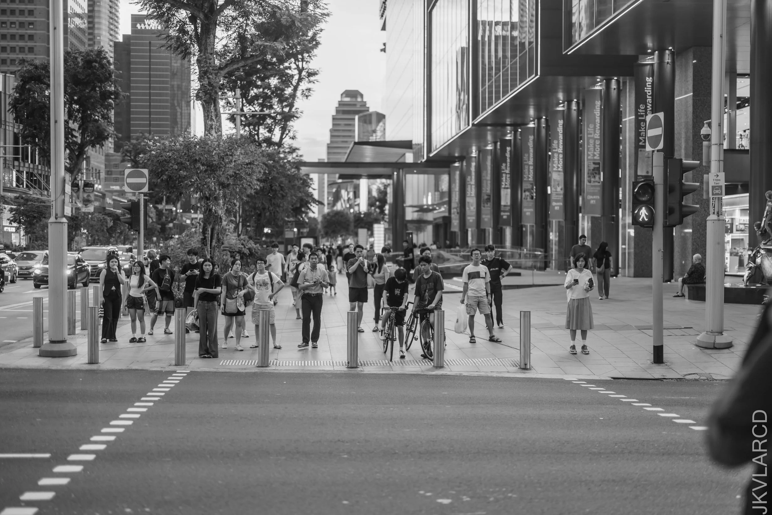 EOS R5_2025_03_15_0035.jpg